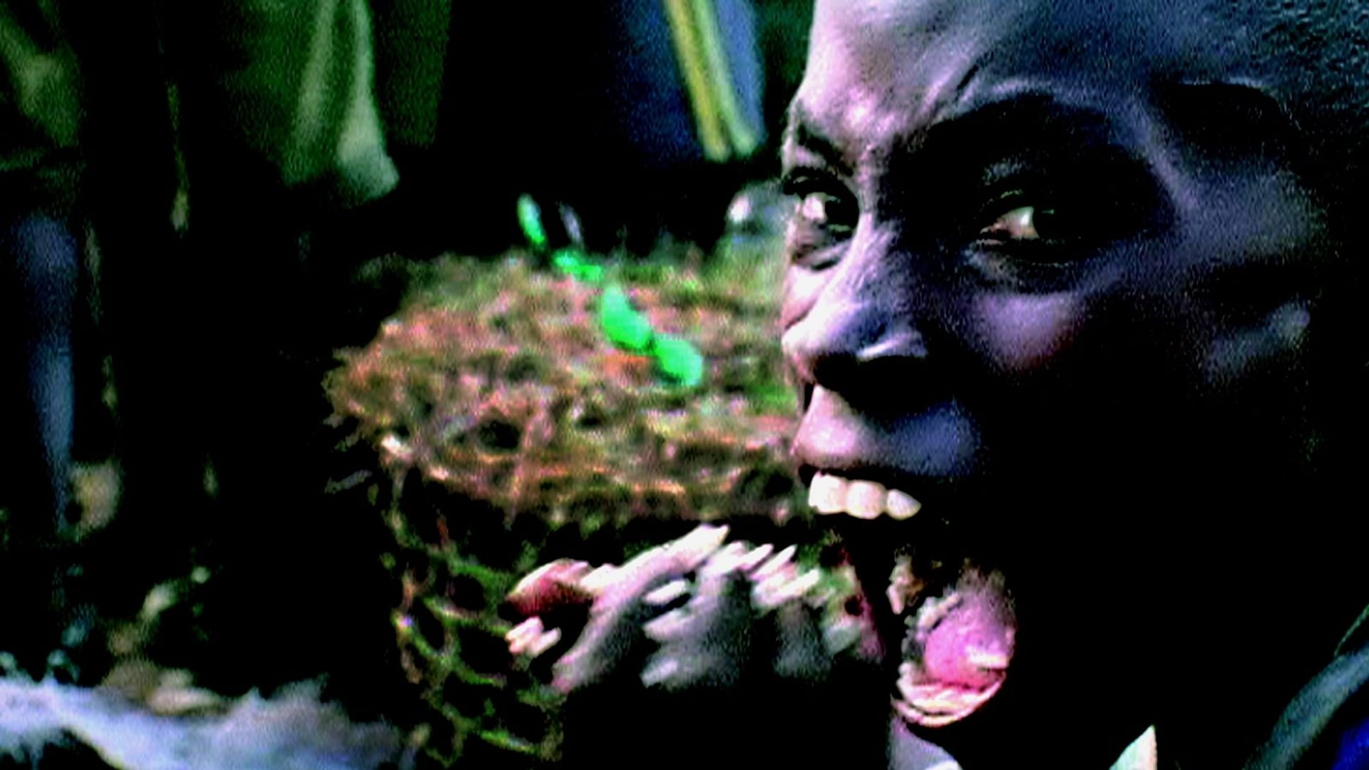 Foto do filme Darwin's Nightmare