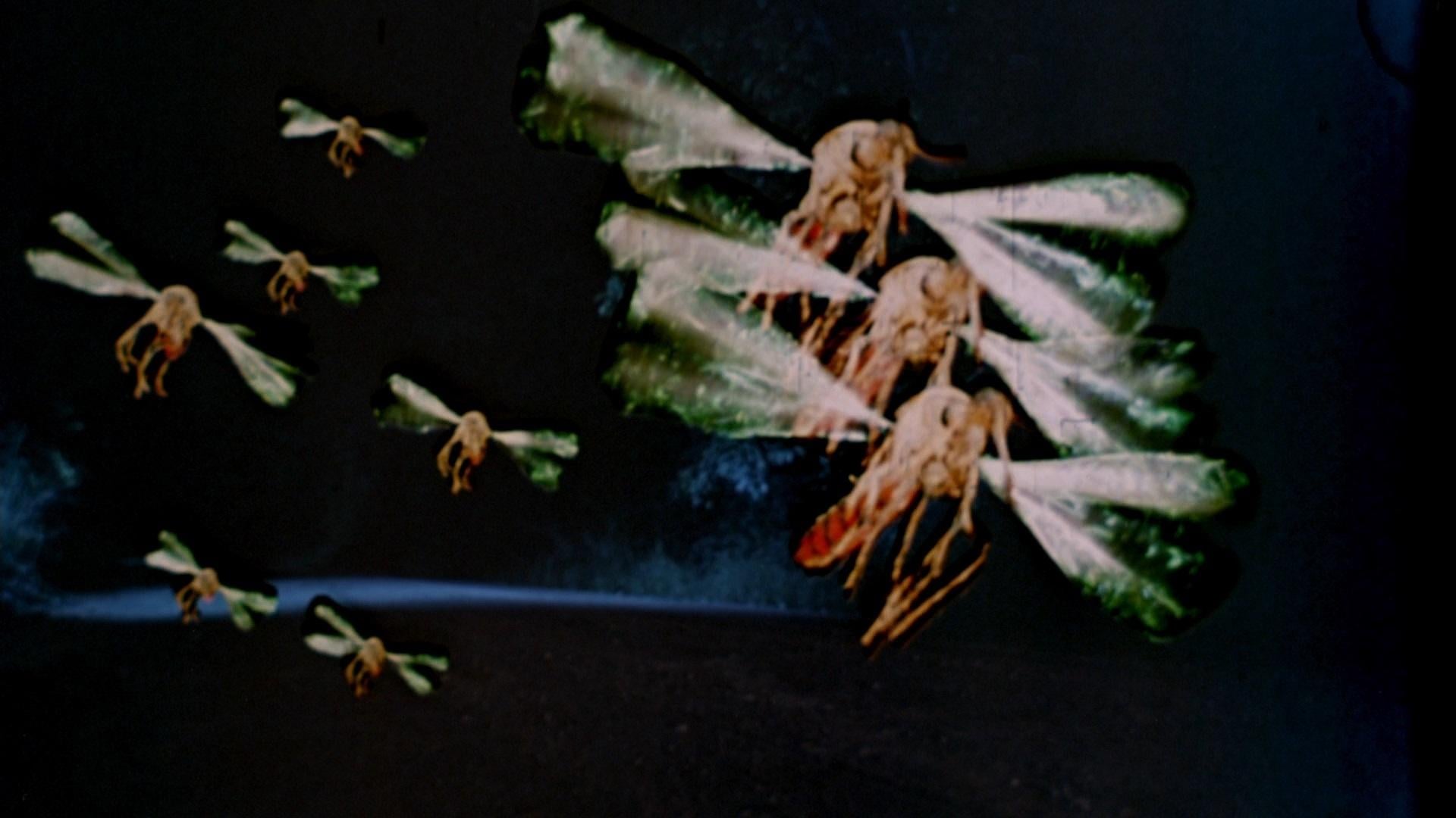 Foto do filme Mosquito