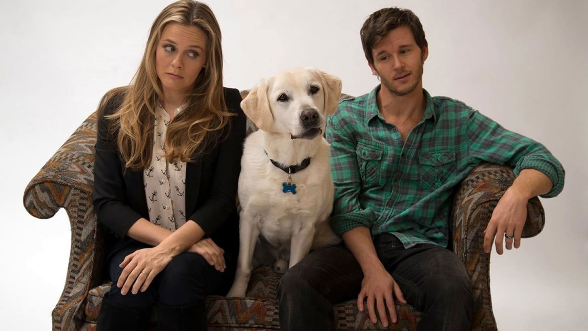 Foto do filme Um Cachorro Para Dois