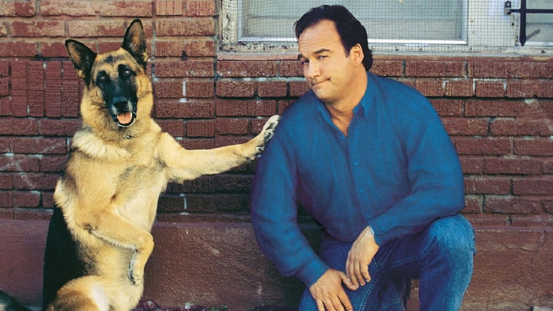 Foto do filme K-911: Um Policial Bom pra Cachorro 2