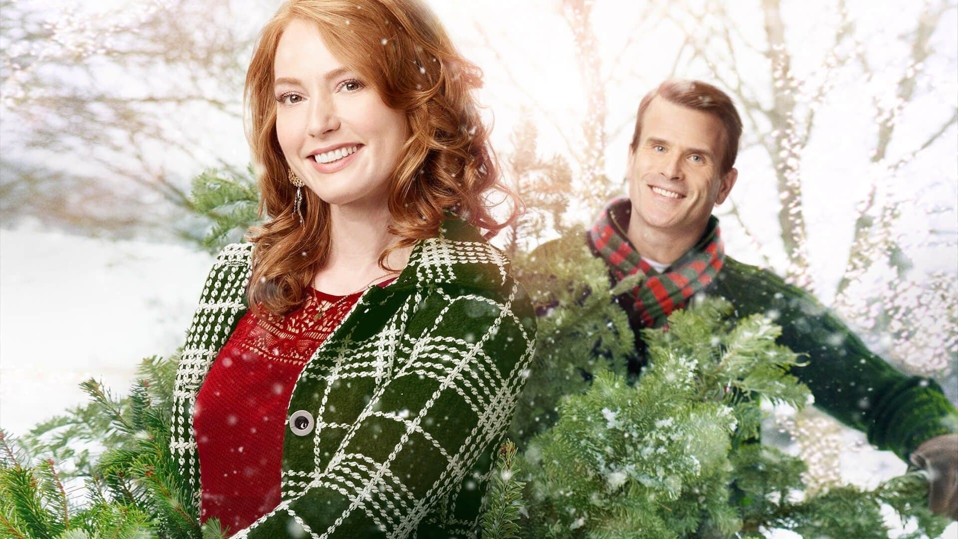 Foto do filme Lista de Natal