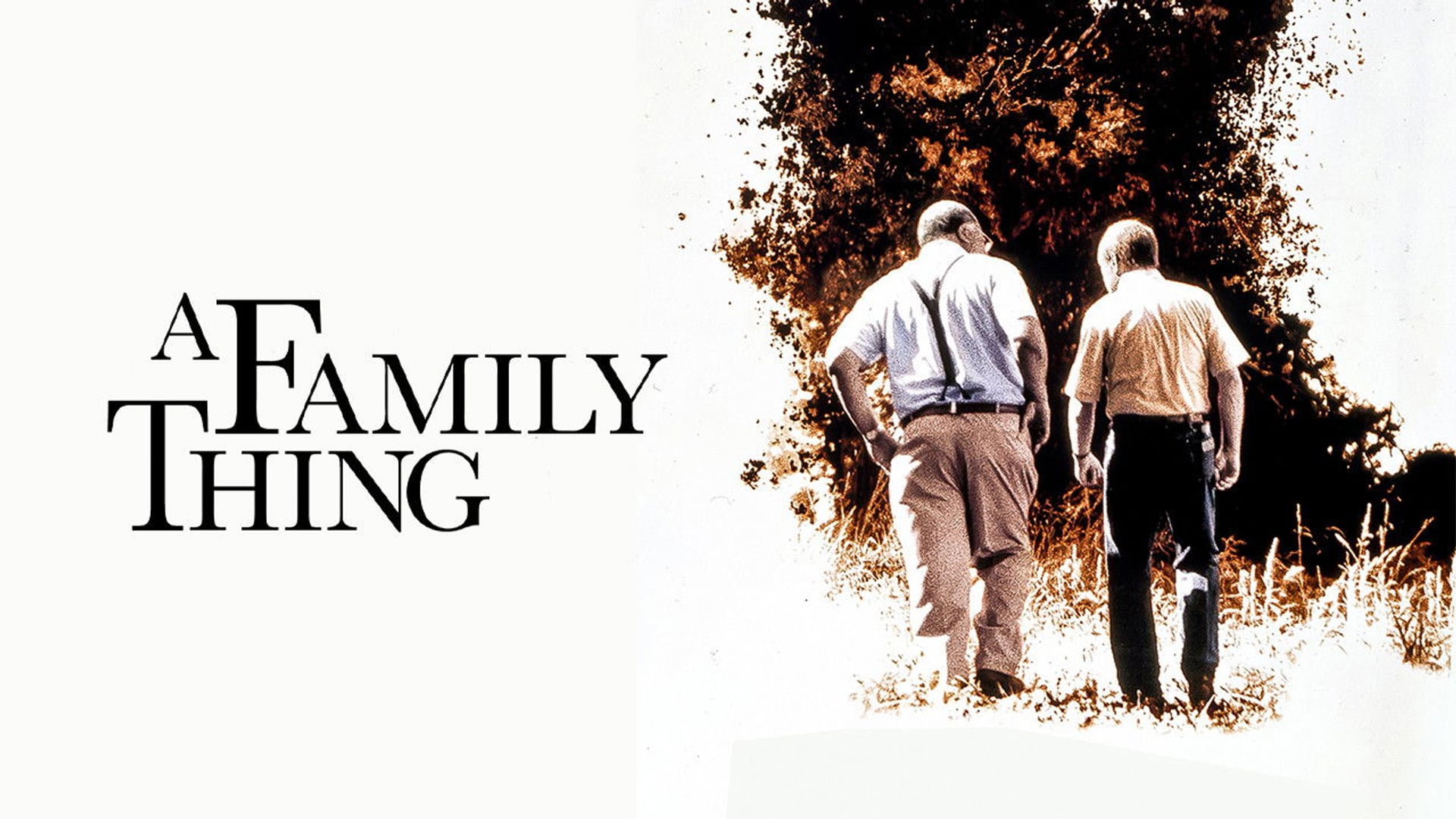 Foto do filme Segredo de Família