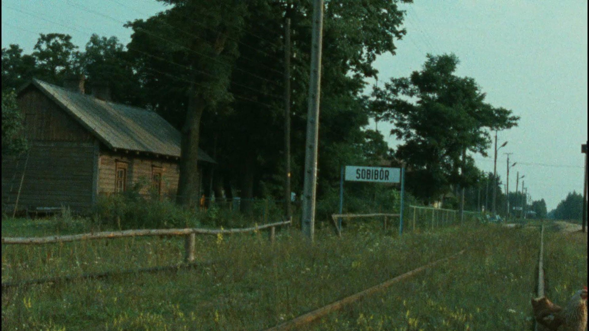 Foto do filme Shoah