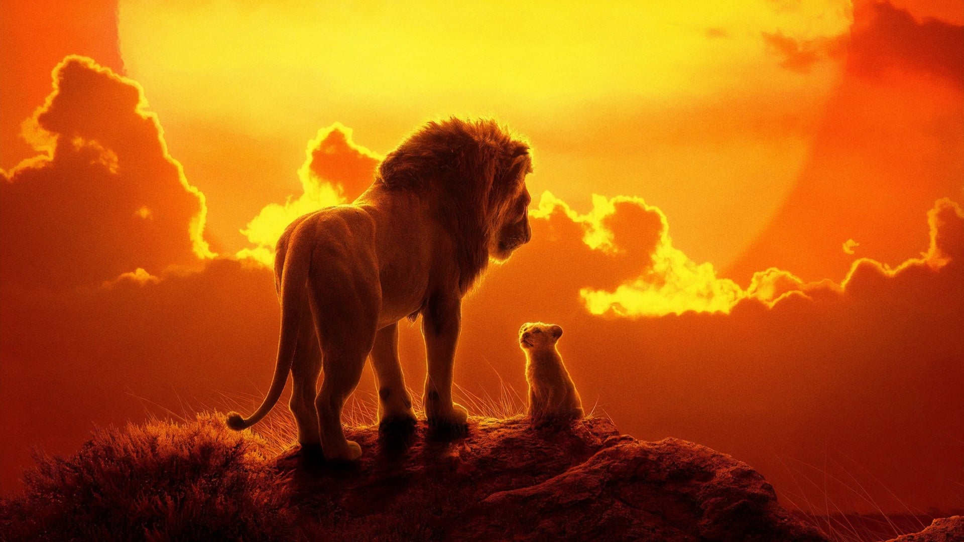 Foto do filme O Rei Leão