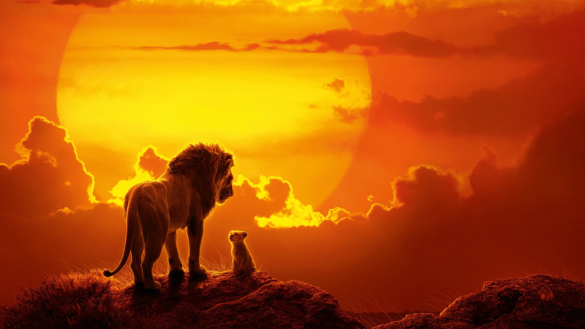 Foto do filme O Rei Leão
