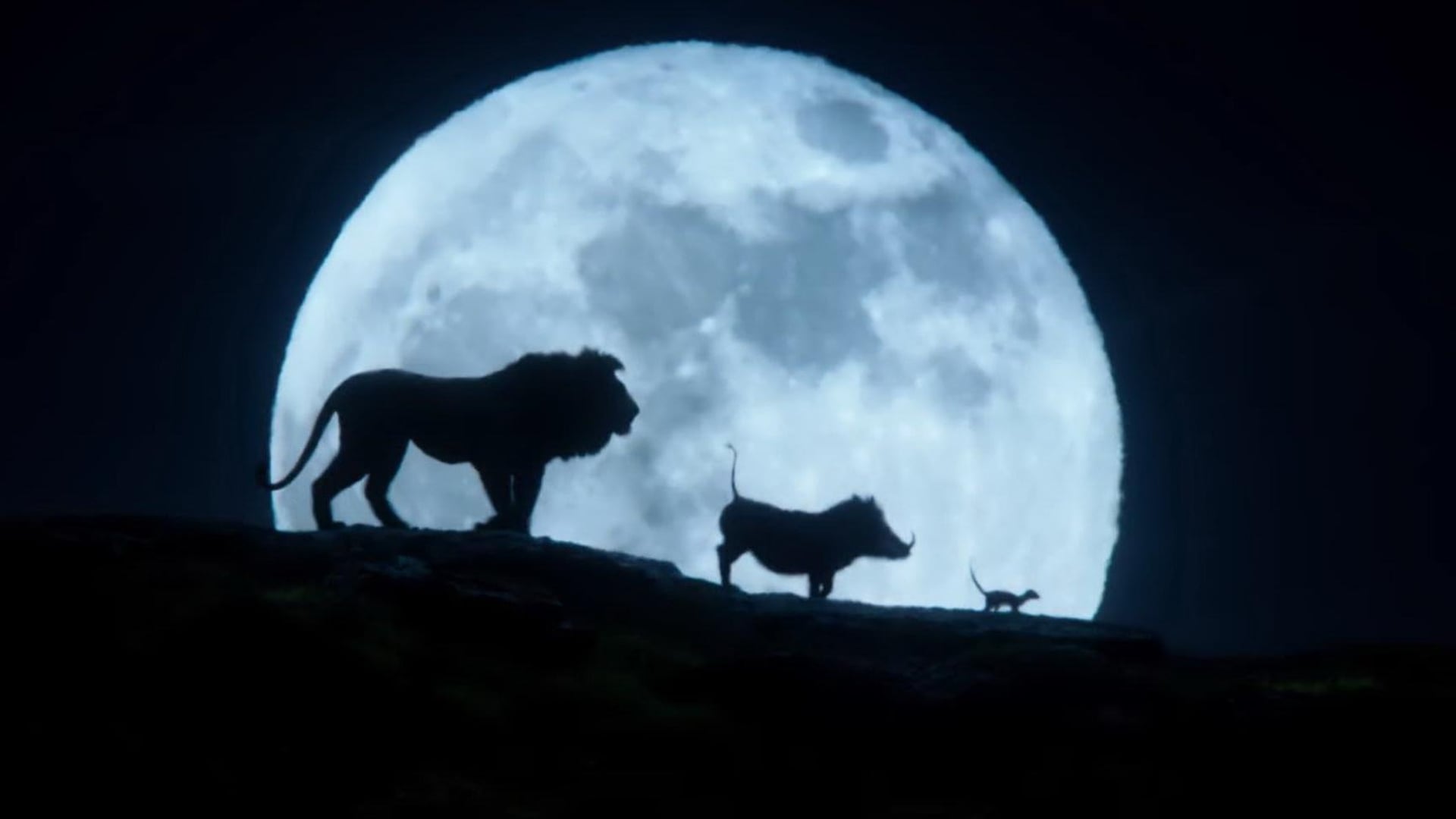 Foto do filme O Rei Leão