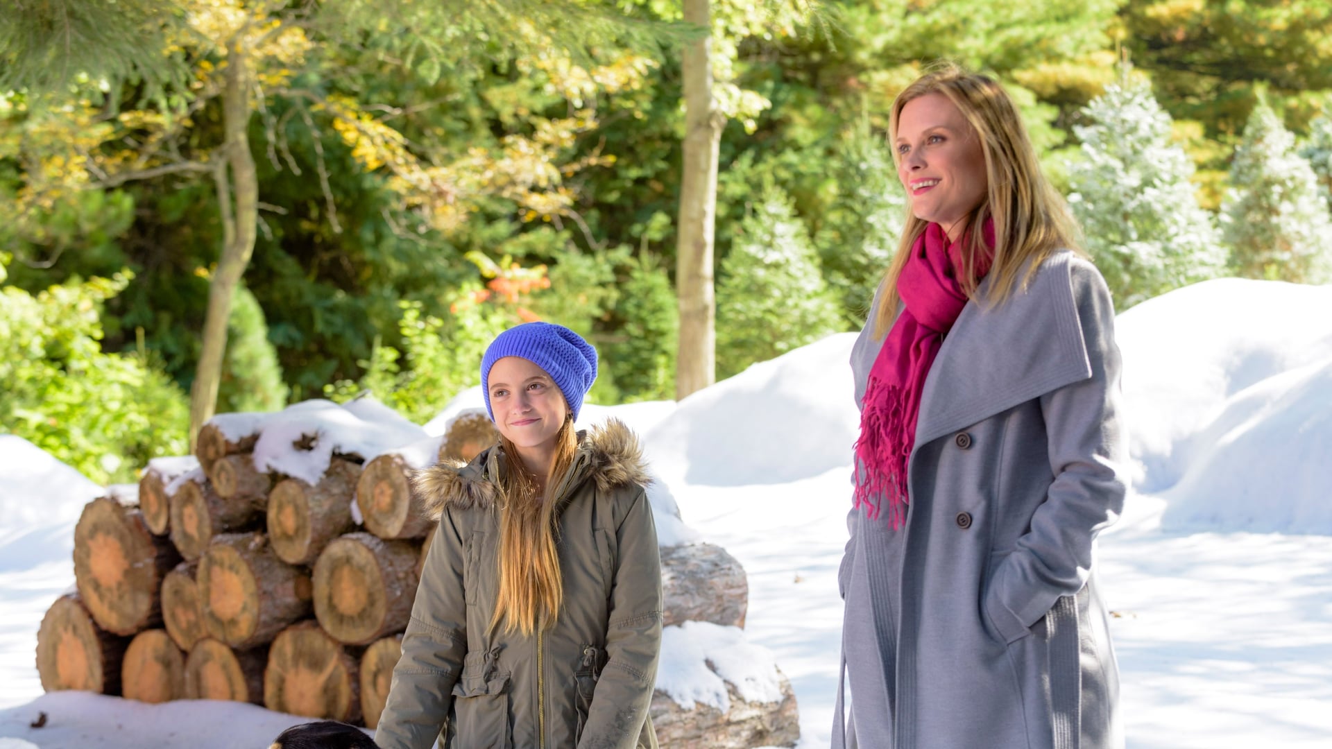 Foto do filme Love You Like Christmas