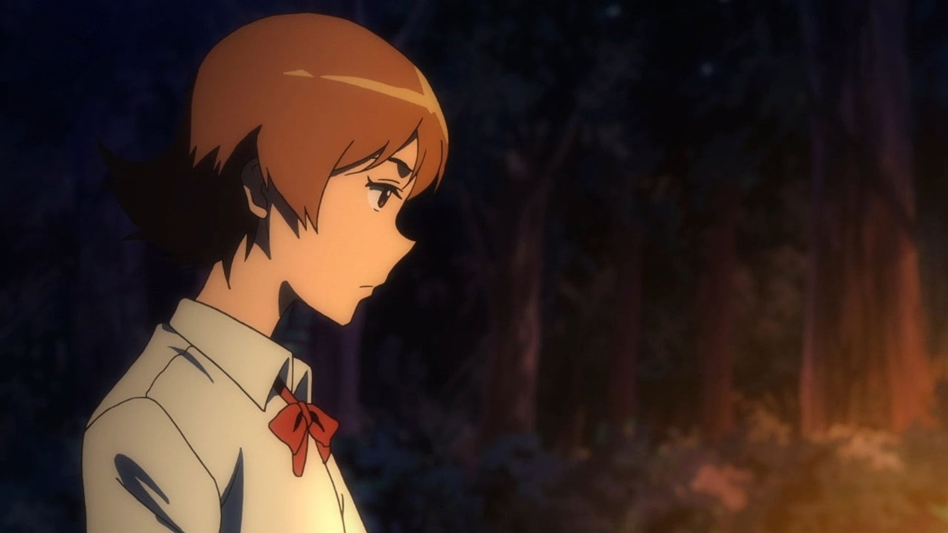 Foto do filme Digimon Adventure tri. 4: Soushitsu