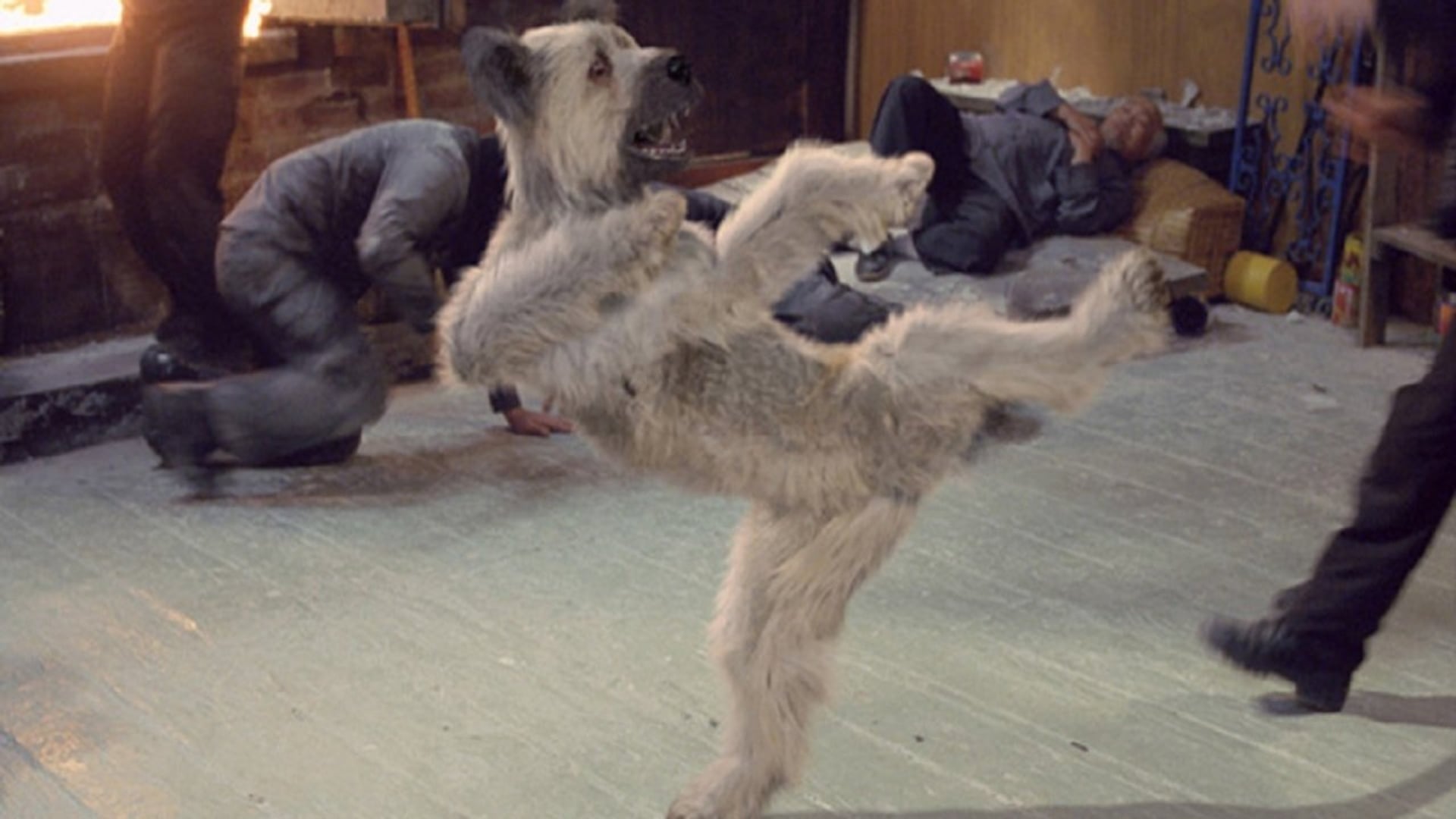 Foto do filme Karatê Dog: O Cão Marcial