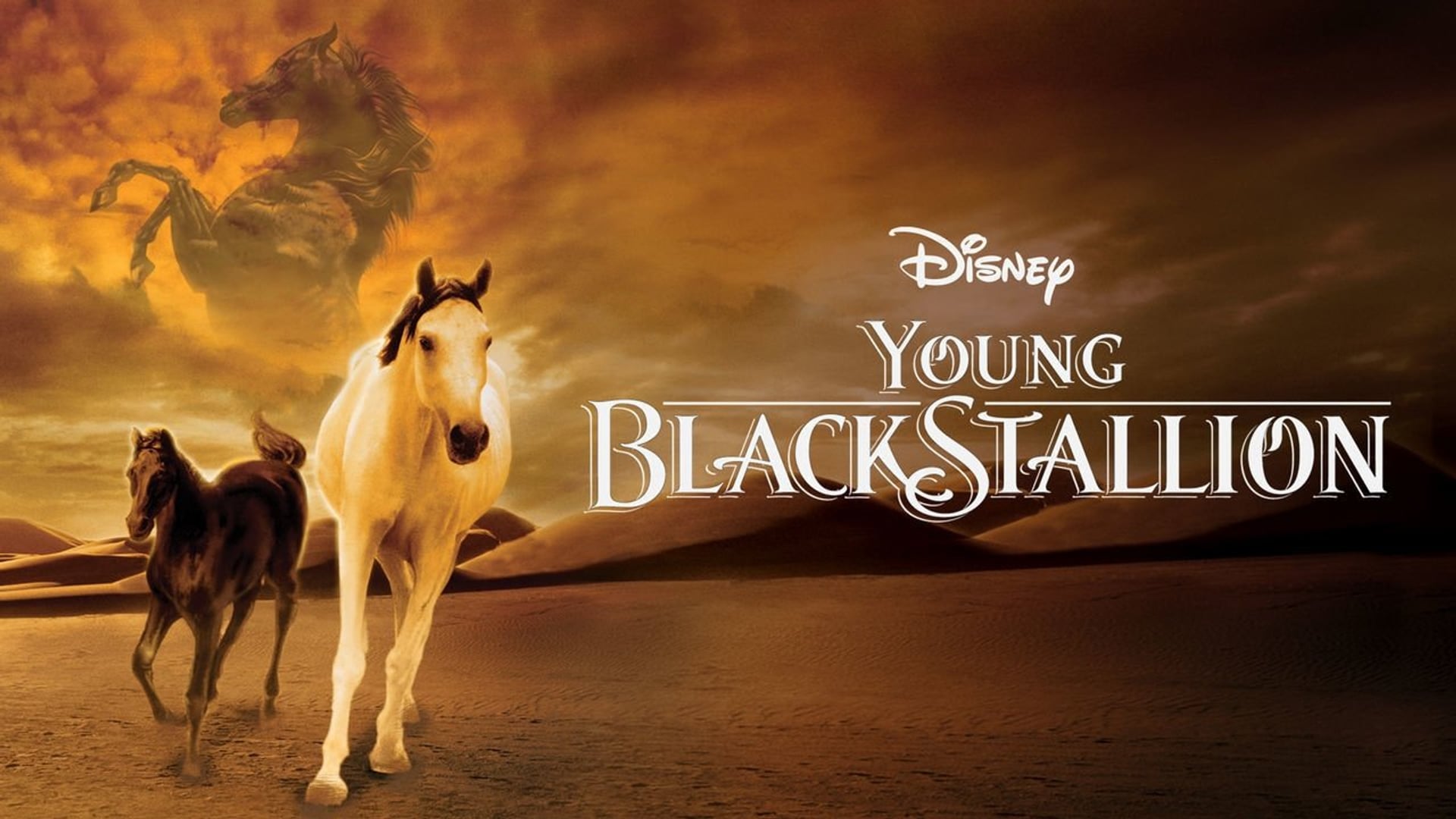 Foto do filme O Jovem Corcel Negro