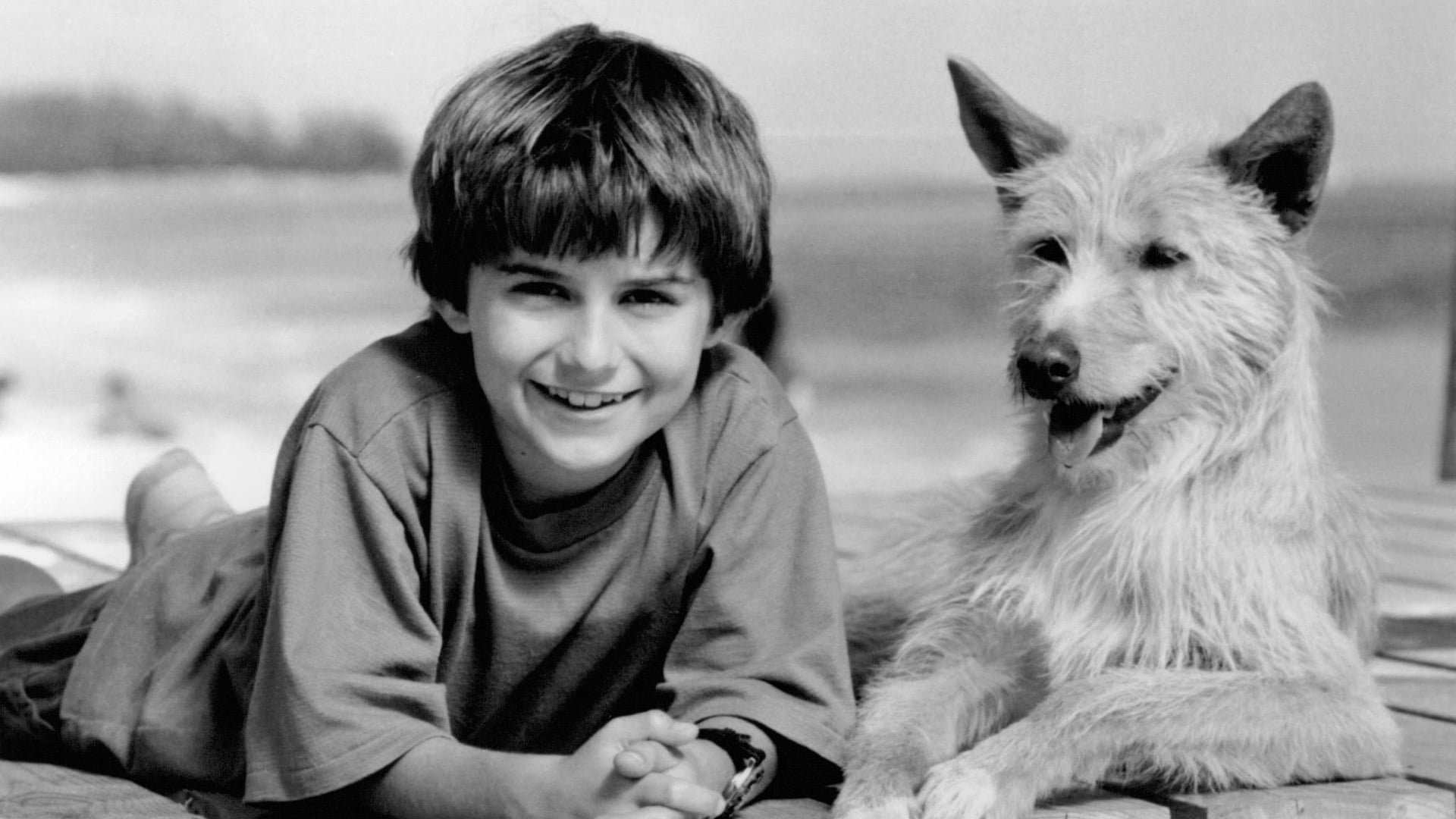 Foto do filme Zeus & Roxanne