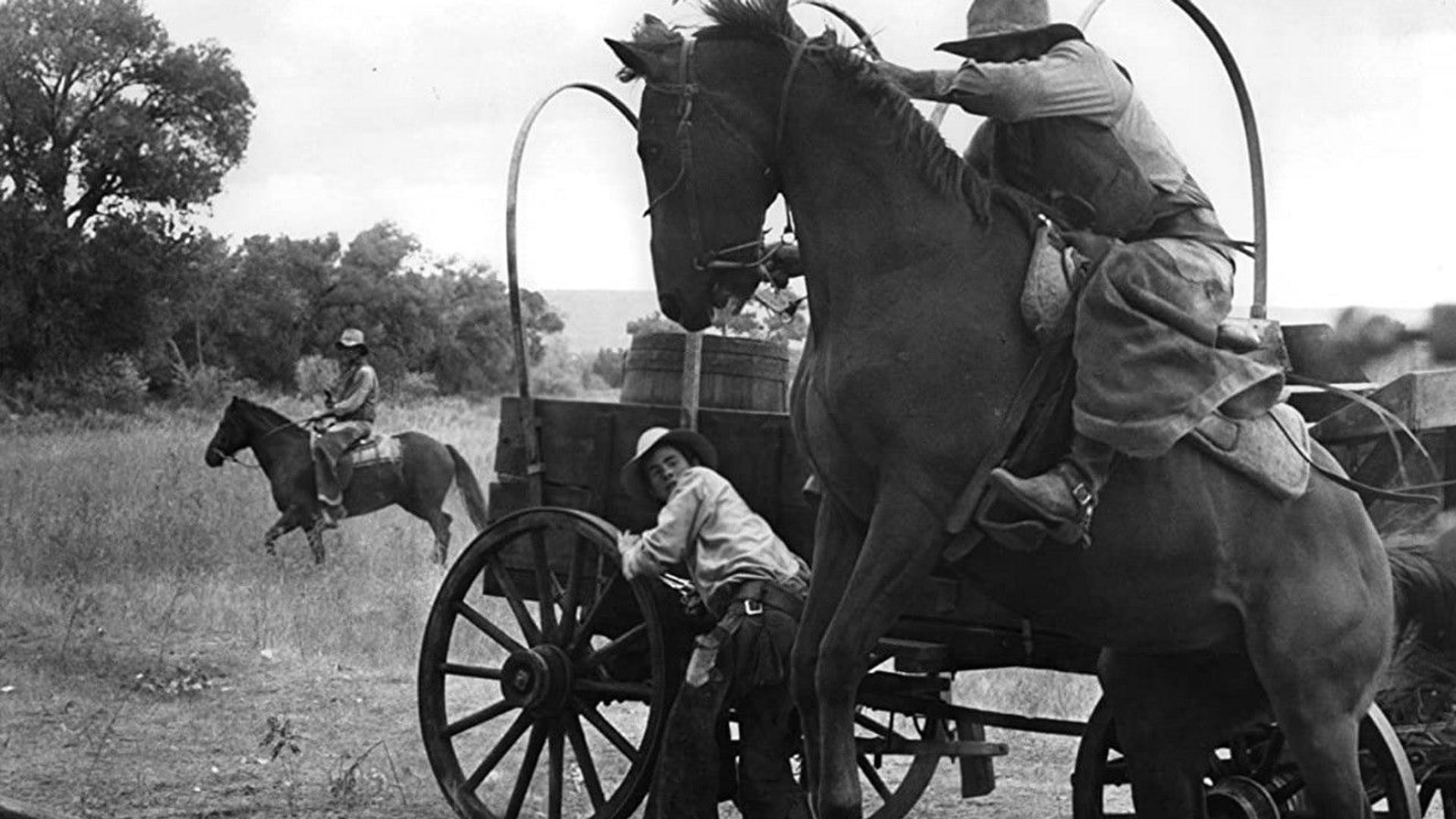 Foto do filme The Culpepper Cattle Co.