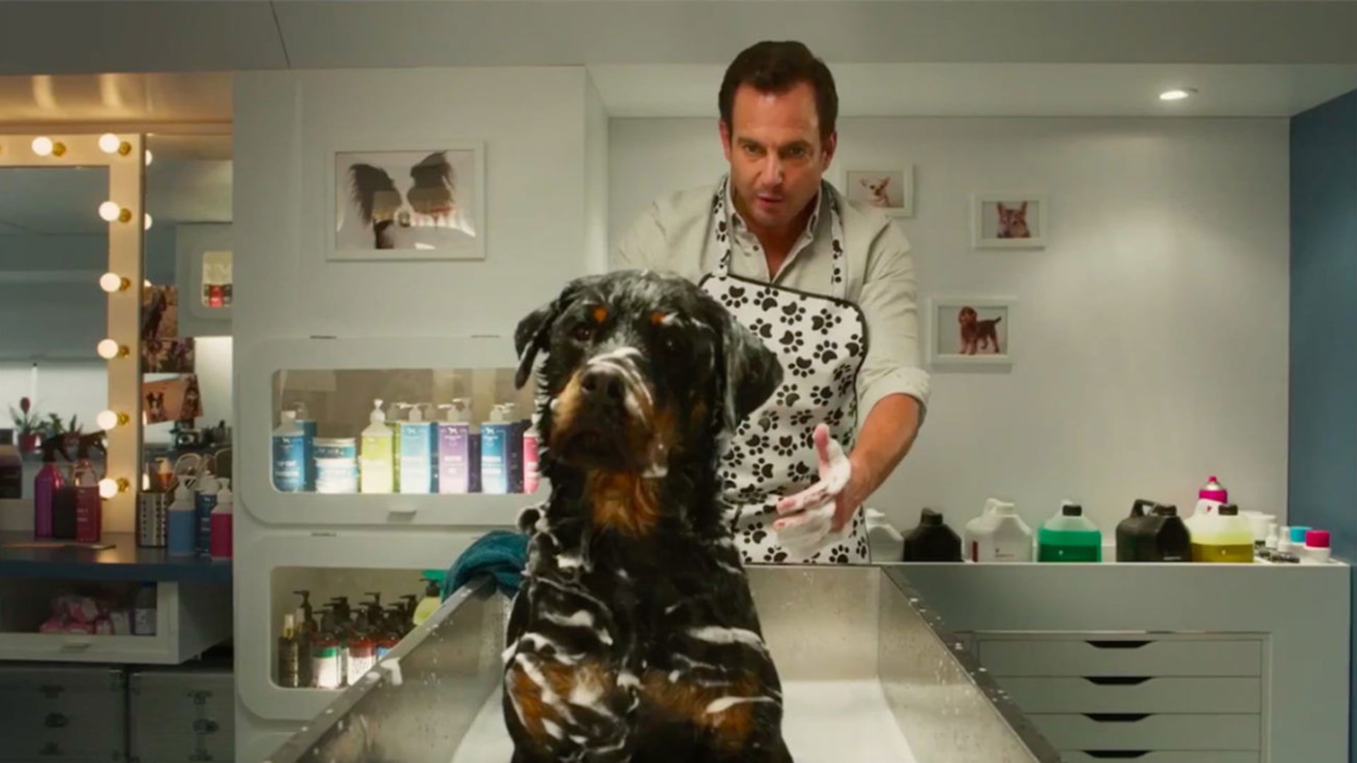 Foto do filme Show Dogs: O Agente Canino