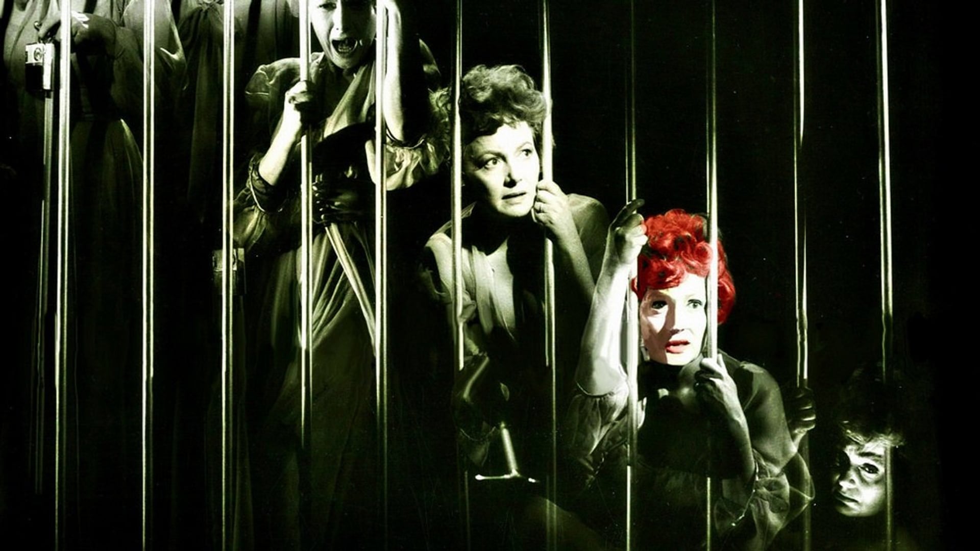 Foto do filme A Dama Enjaulada