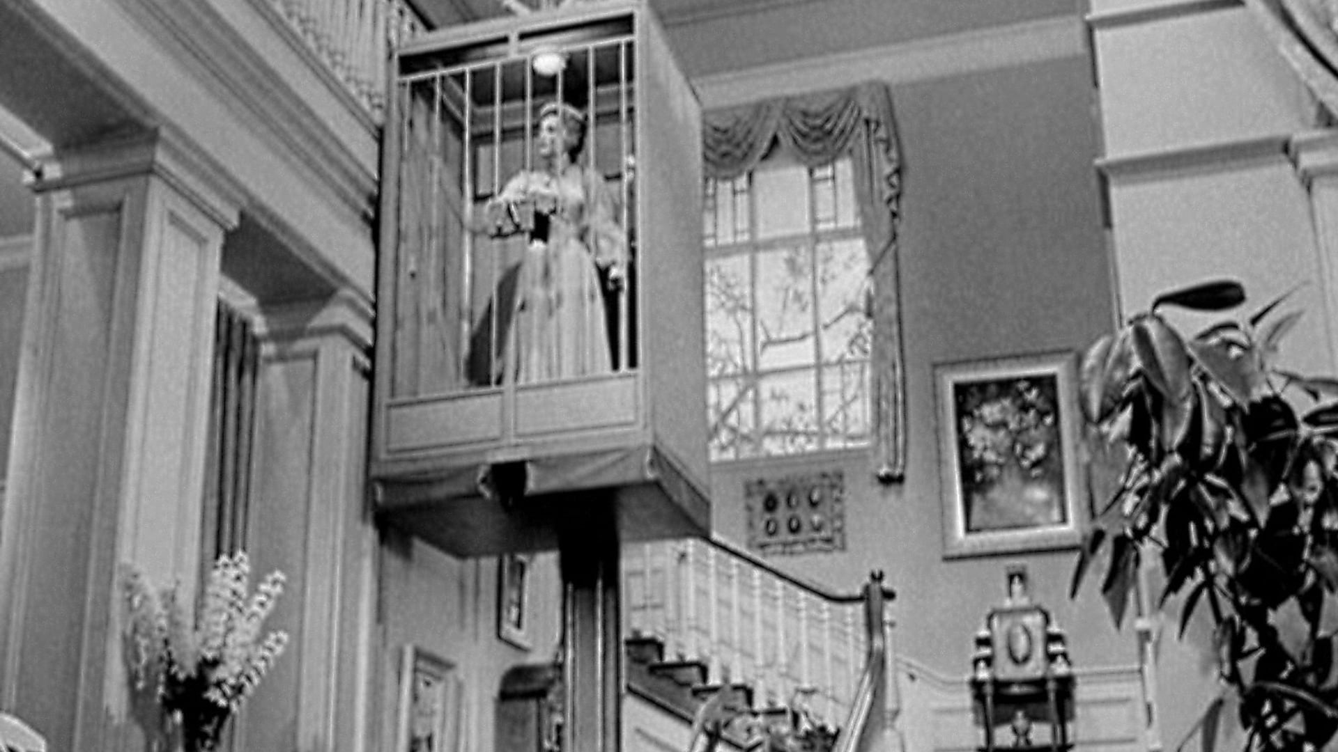 Foto do filme A Dama Enjaulada