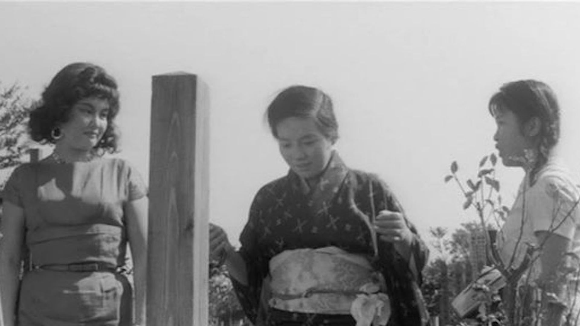 Foto do filme A Mulher Inseto