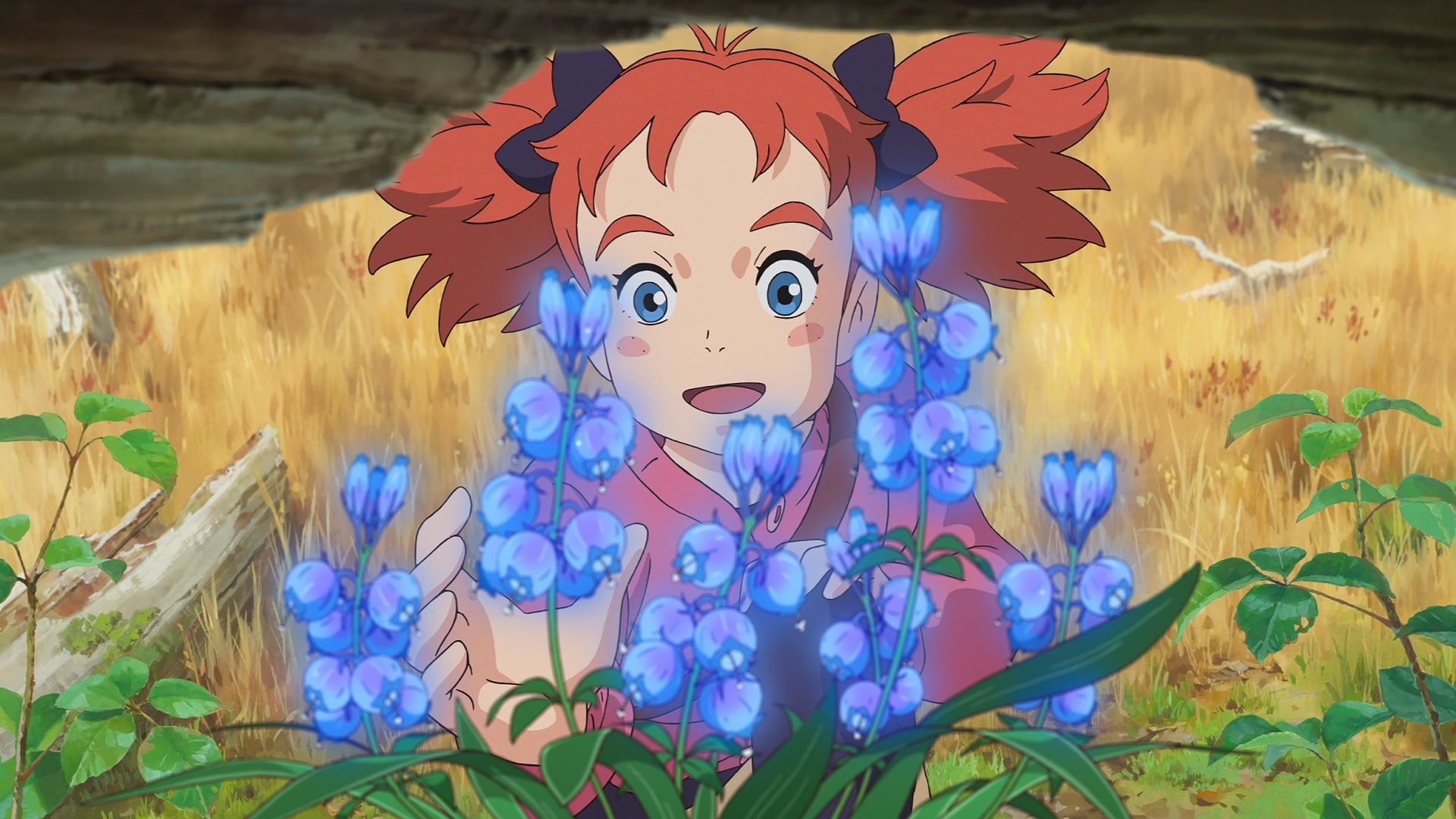 Foto do filme Mary e a Flor da Feiticeira