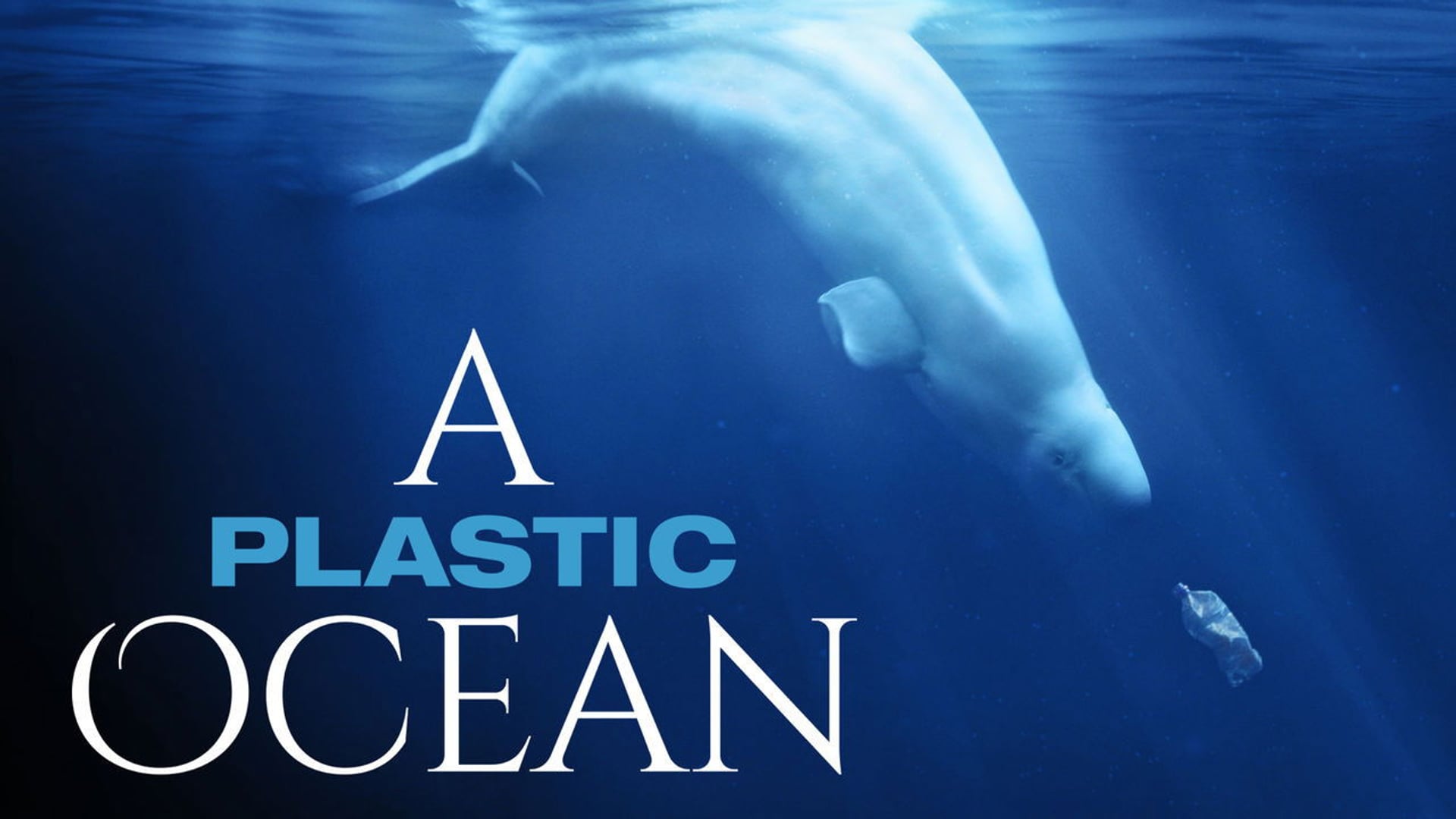 Foto do filme Oceanos de Plástico