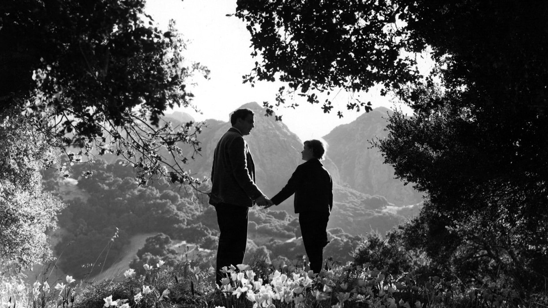 Foto do filme Como Era Verde o Meu Vale