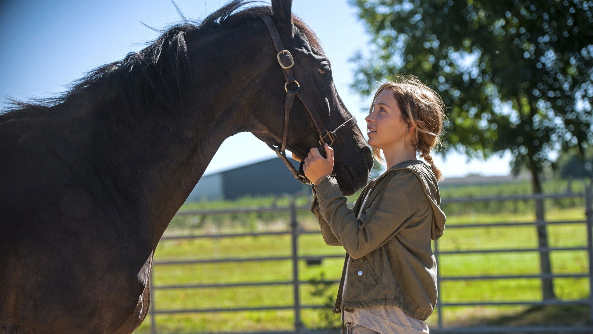 Foto do filme Rock My Heart