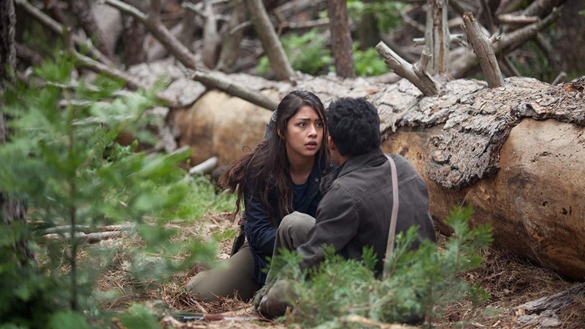 Foto do filme What Still Remains