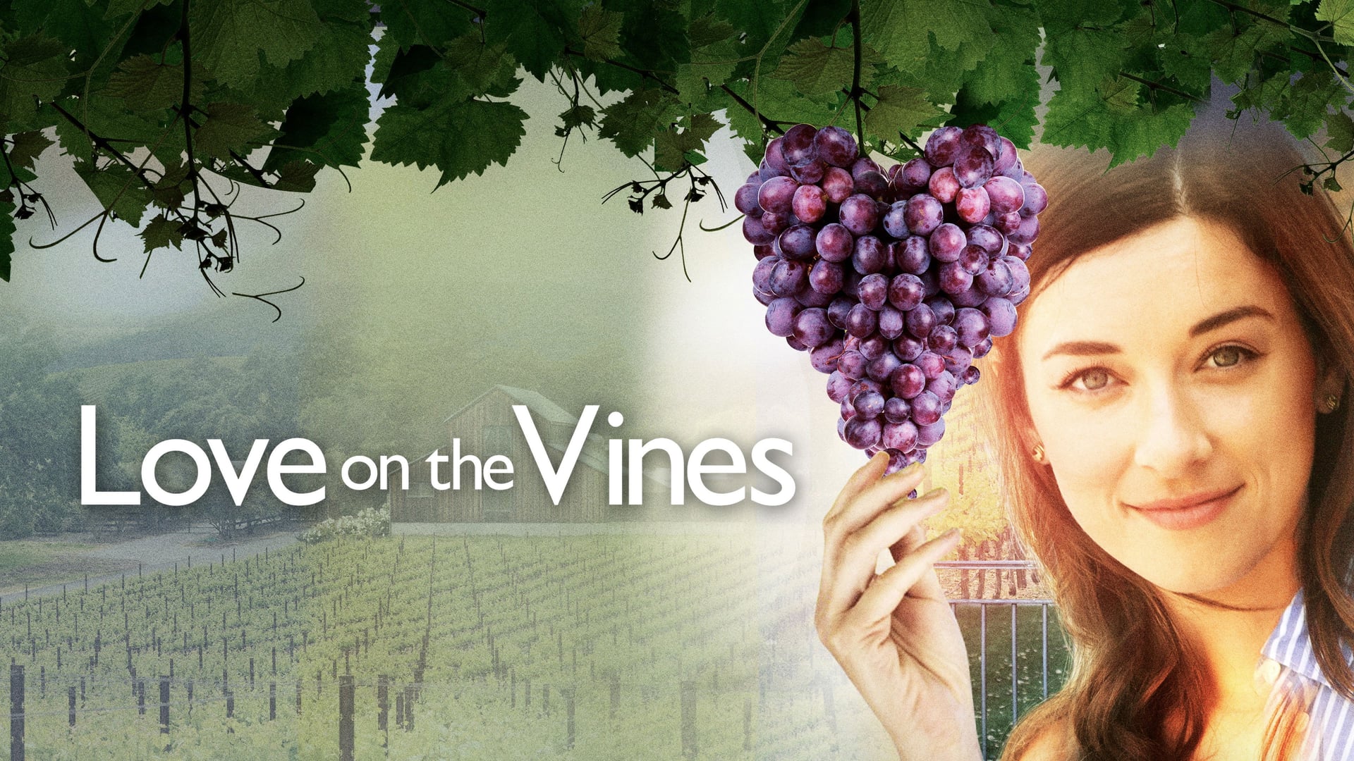 Foto do filme Love on the Vines