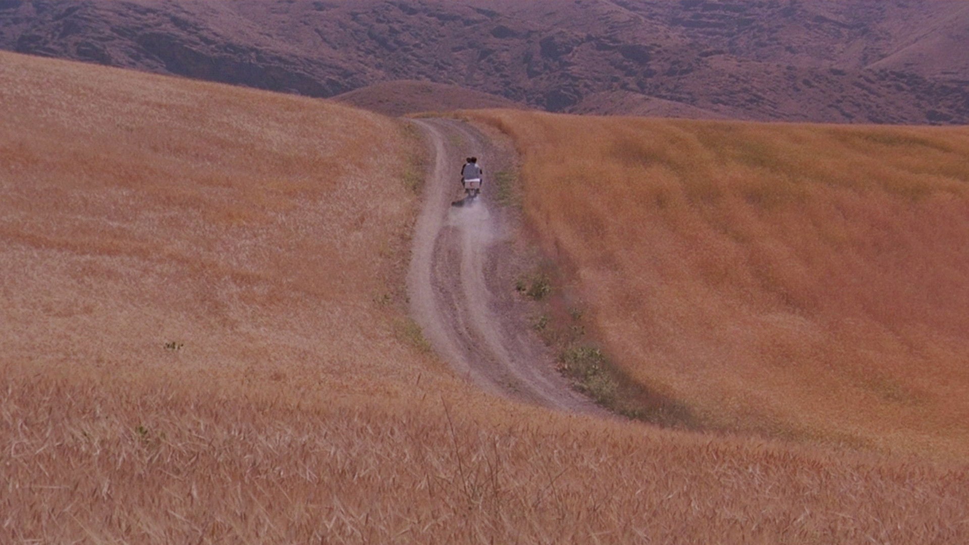 Foto do filme O Vento nos Levará