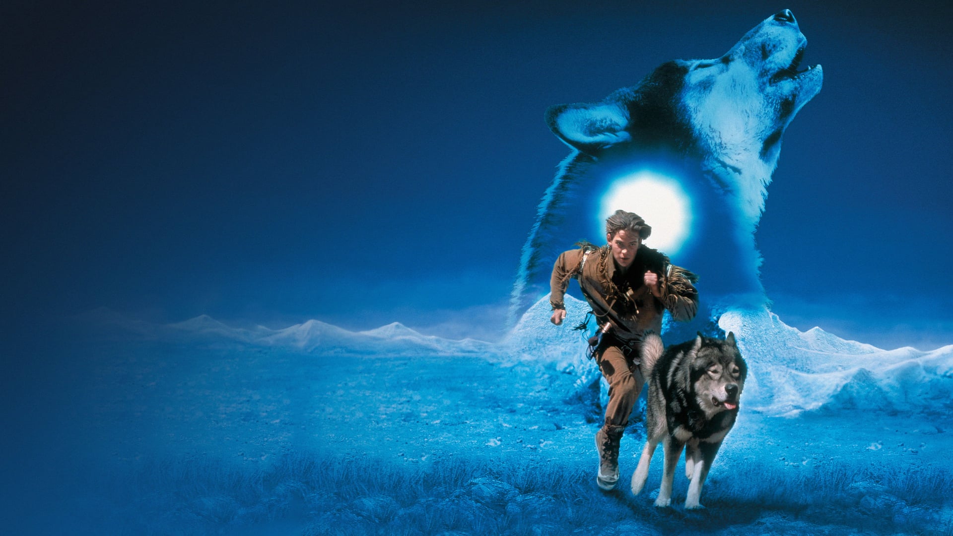 Foto do filme Caninos Brancos 2: A Lenda do Lobo Branco