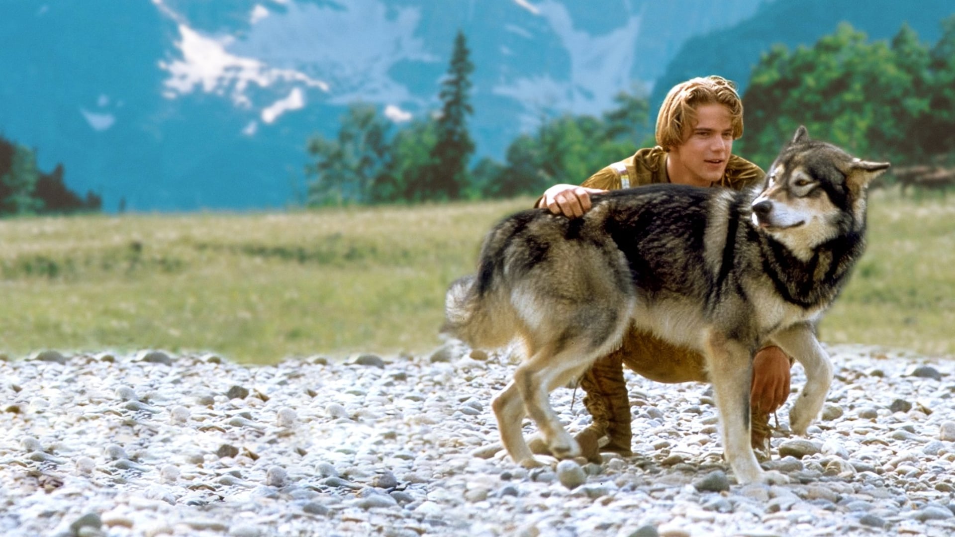 Foto do filme Caninos Brancos 2: A Lenda do Lobo Branco