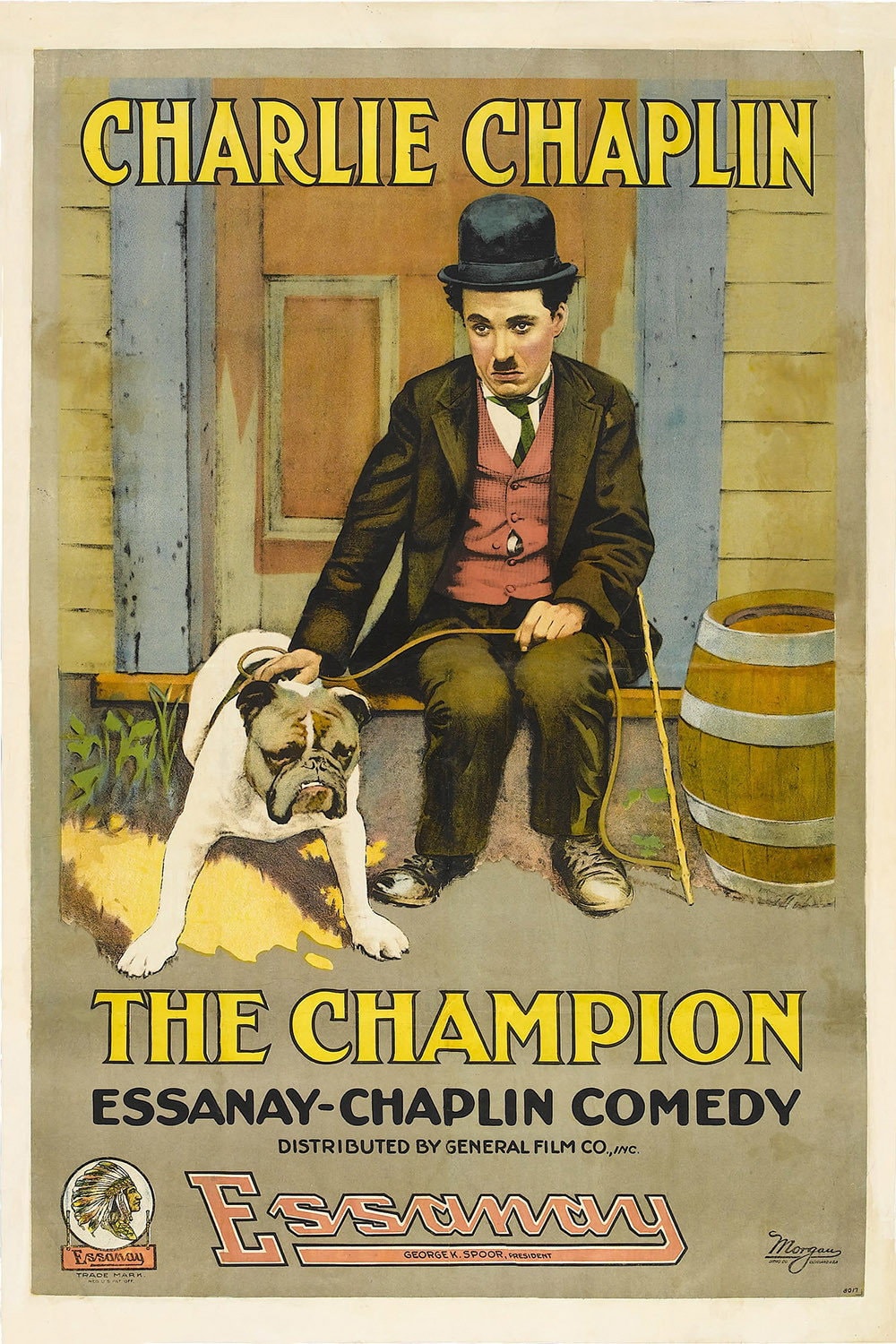 Campeão de Boxe