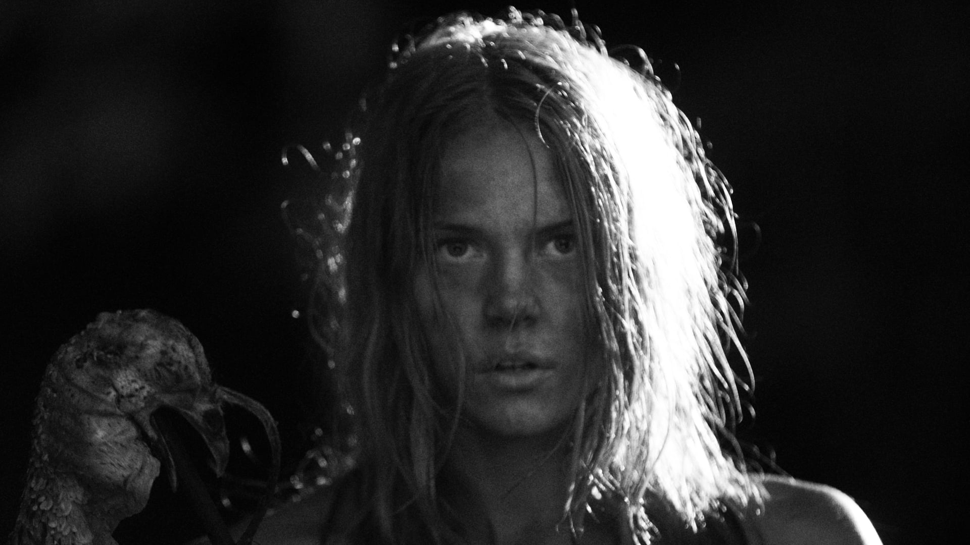 Foto do filme Novembro