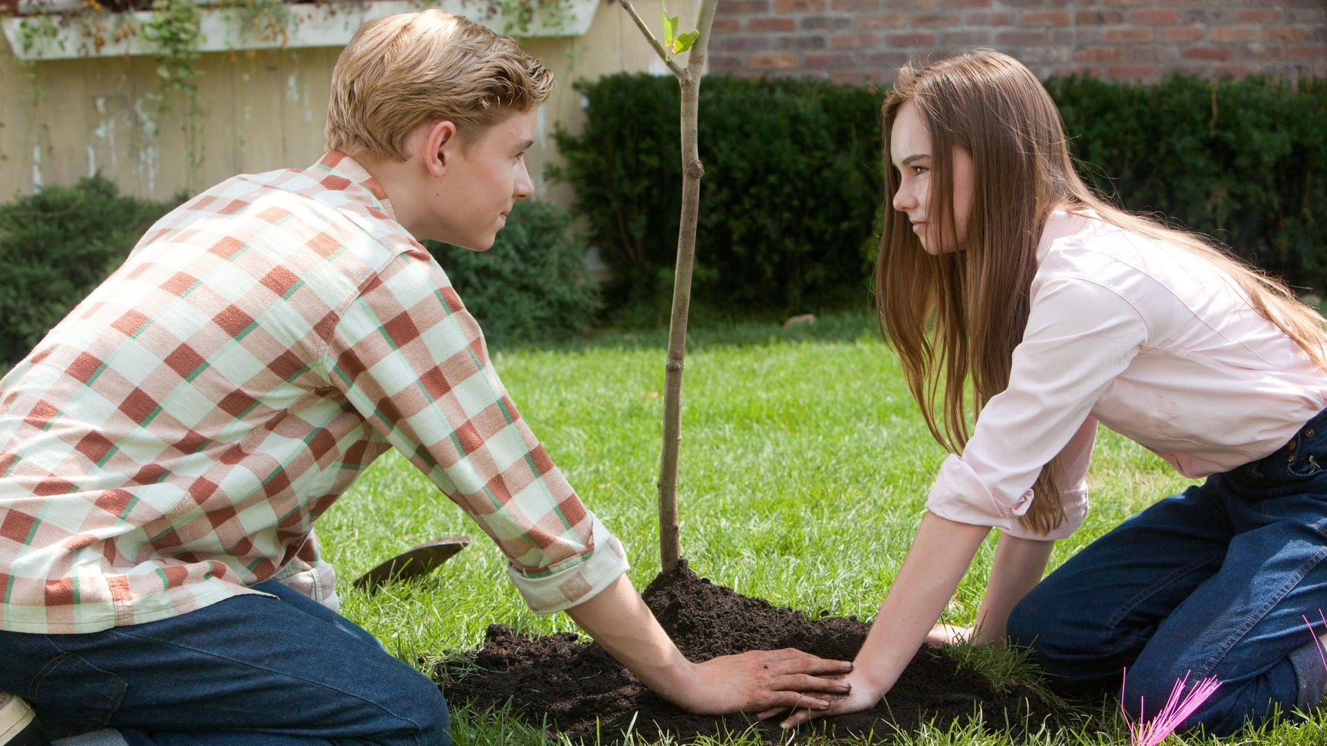 Foto do filme O Primeiro Amor