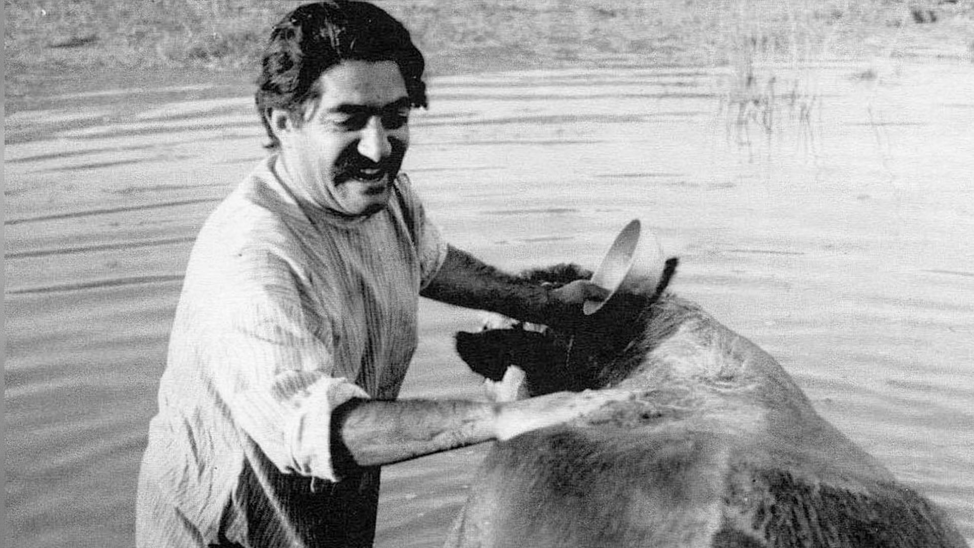 Foto do filme A Vaca
