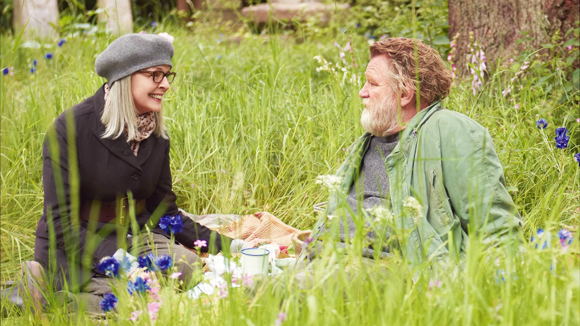 Foto do filme Hampstead: Nunca é Tarde para Amar