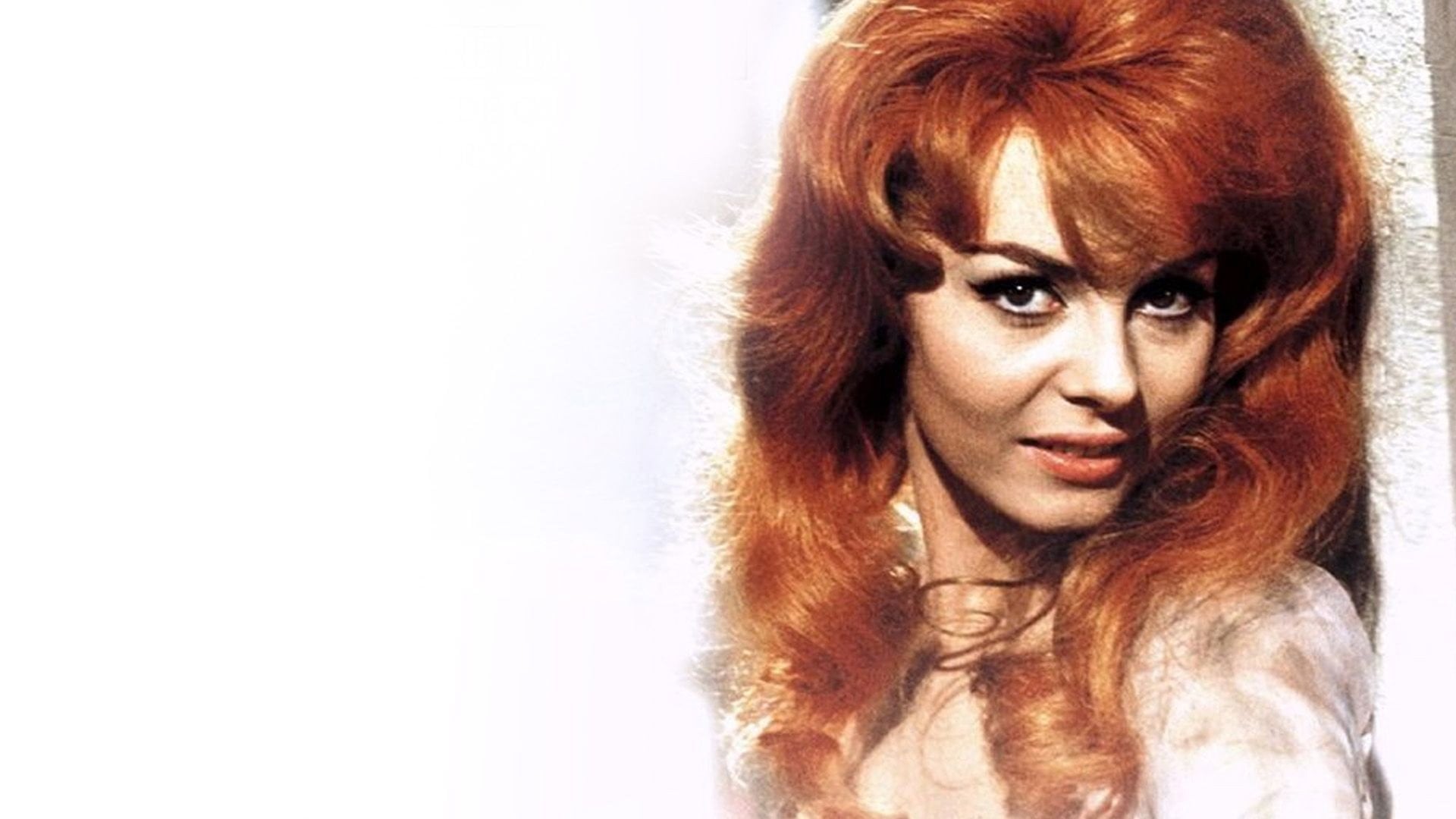 Foto do filme Merveilleuse Angélique
