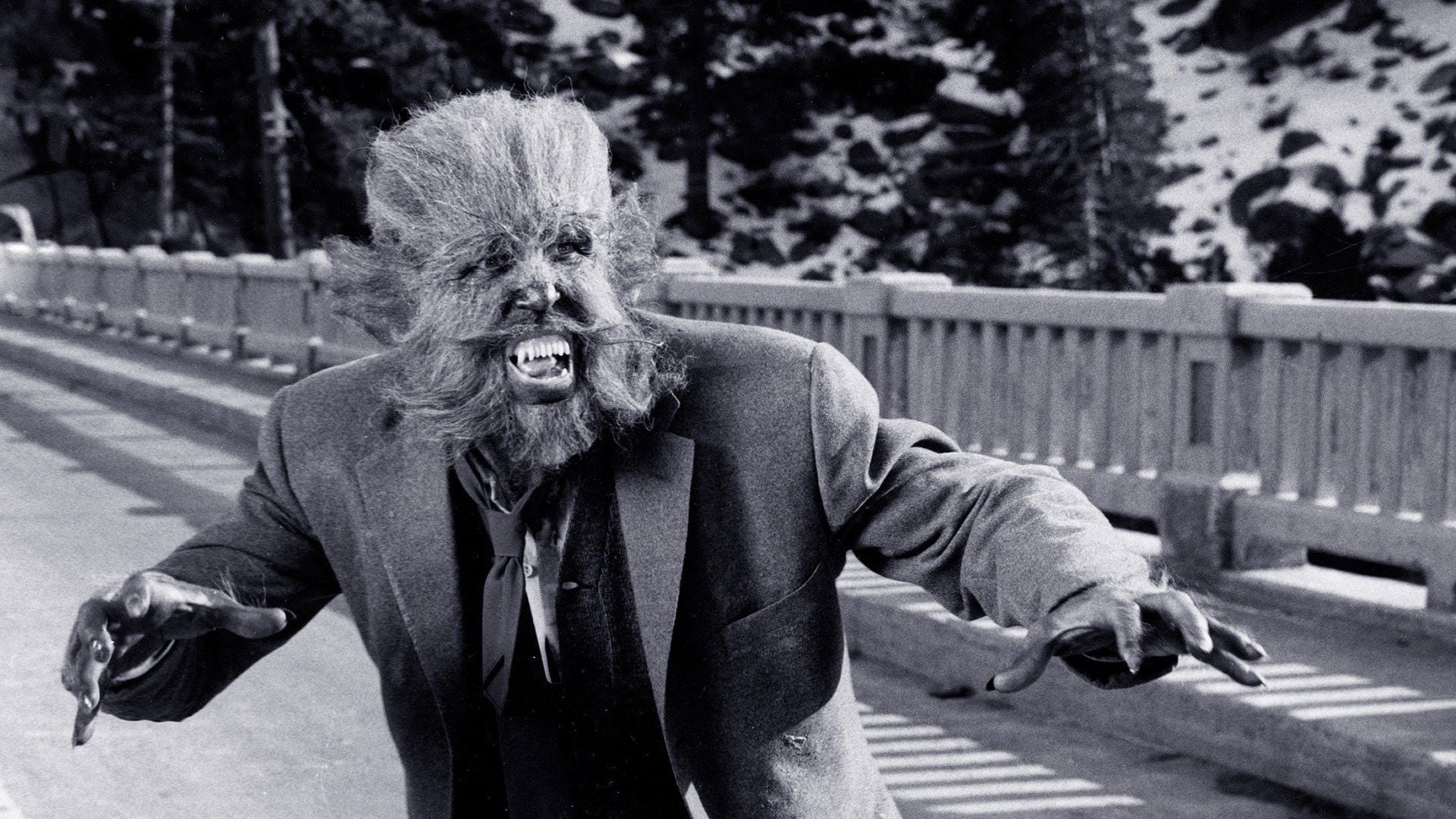 Foto do filme The Werewolf