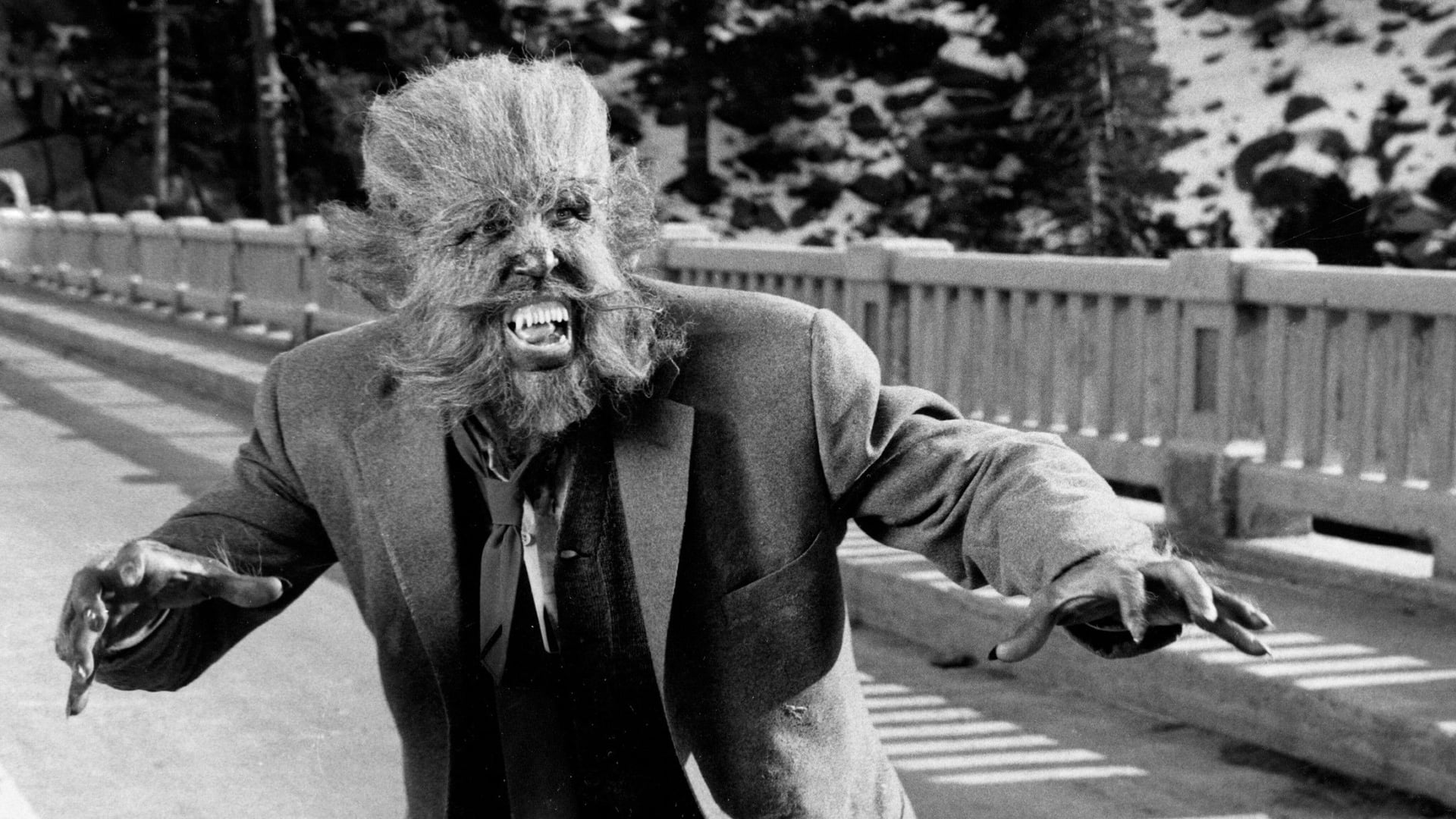 Foto do filme The Werewolf