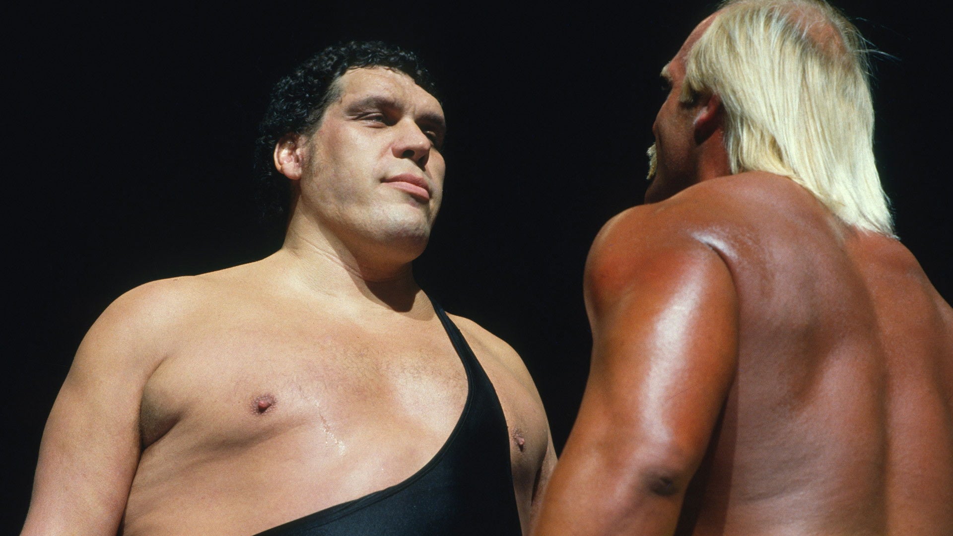 Foto do filme Andre the Giant