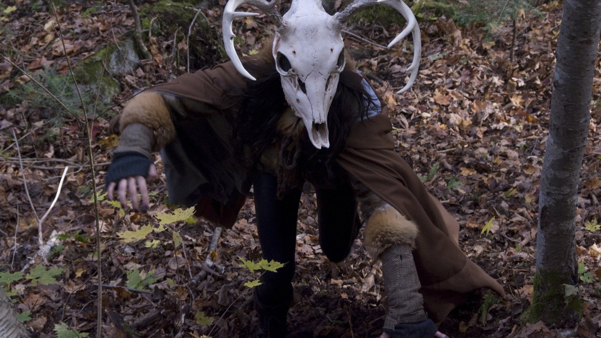 Foto do filme The Wild Hunt