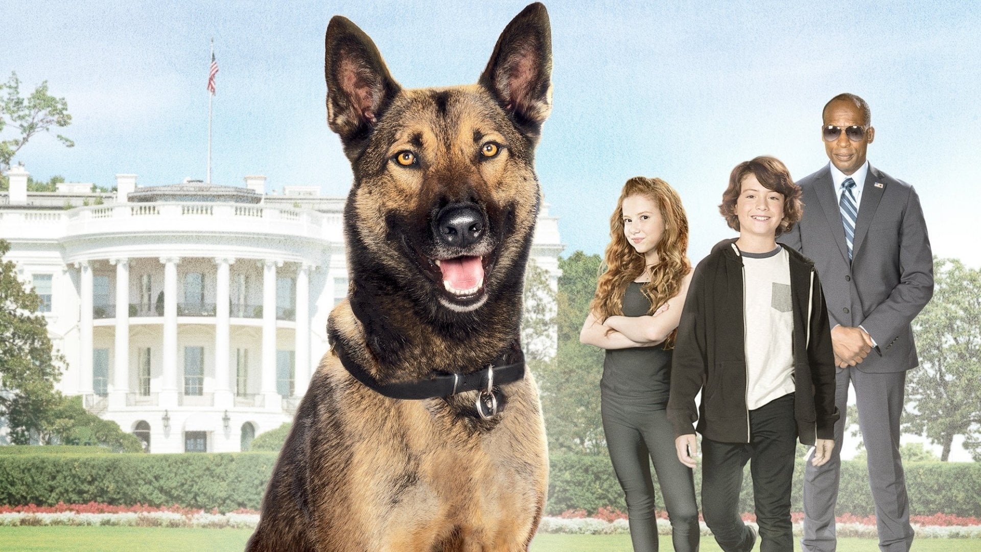 Foto do filme Max 2 - Um Agente Animal
