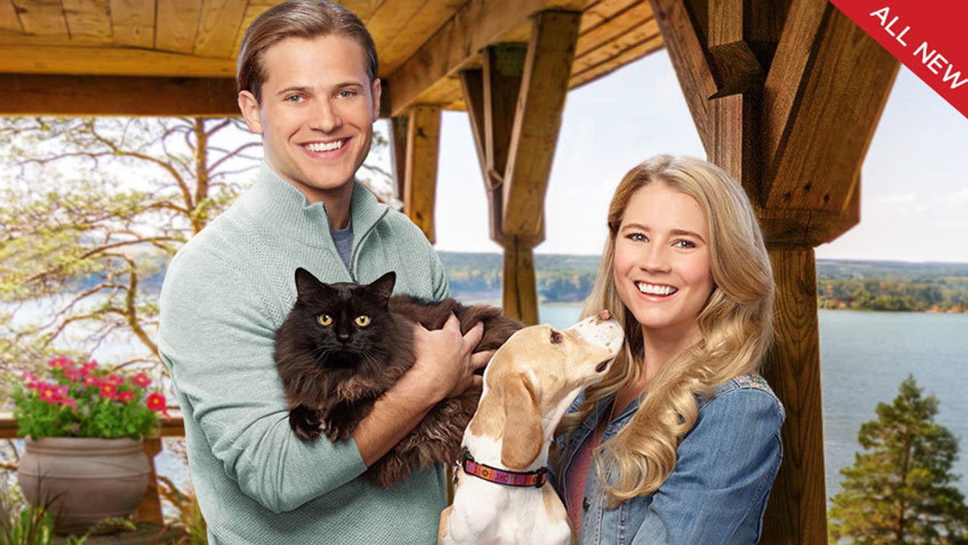 Foto do filme Like Cats & Dogs