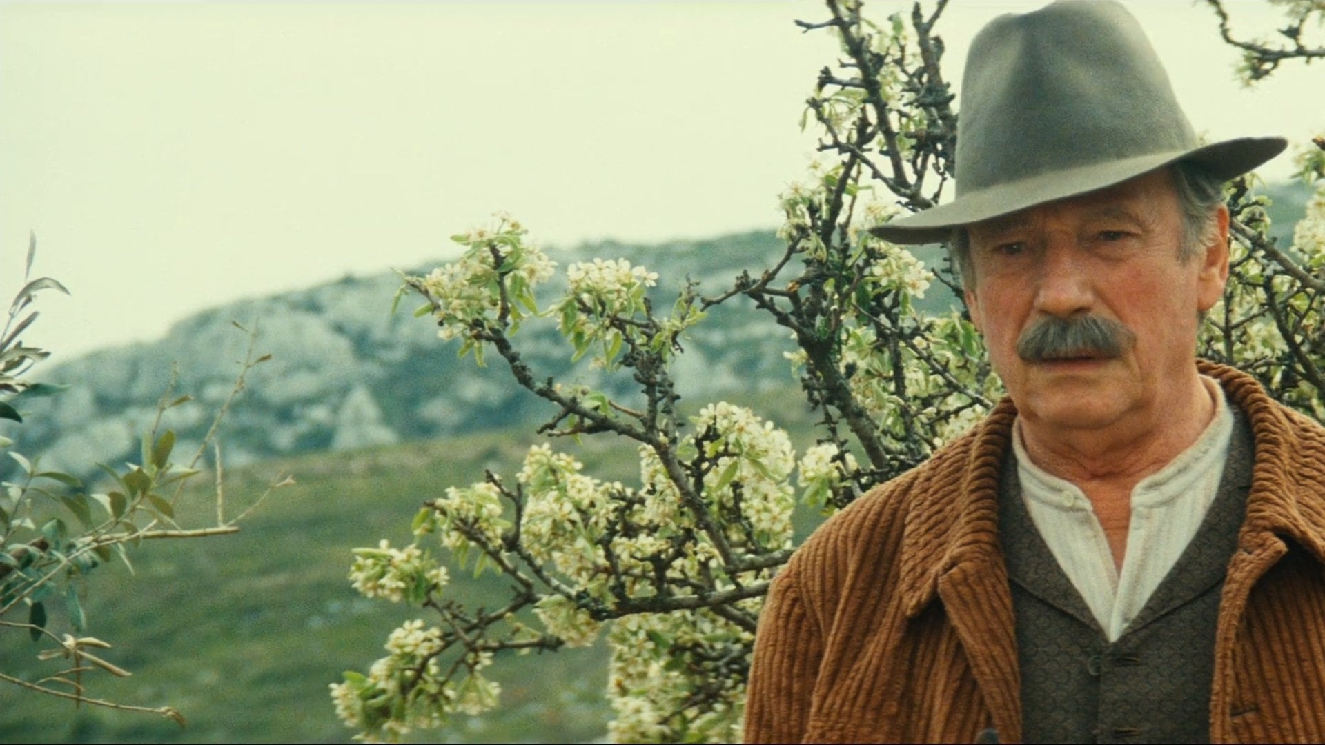 Foto do filme Jean de Florette