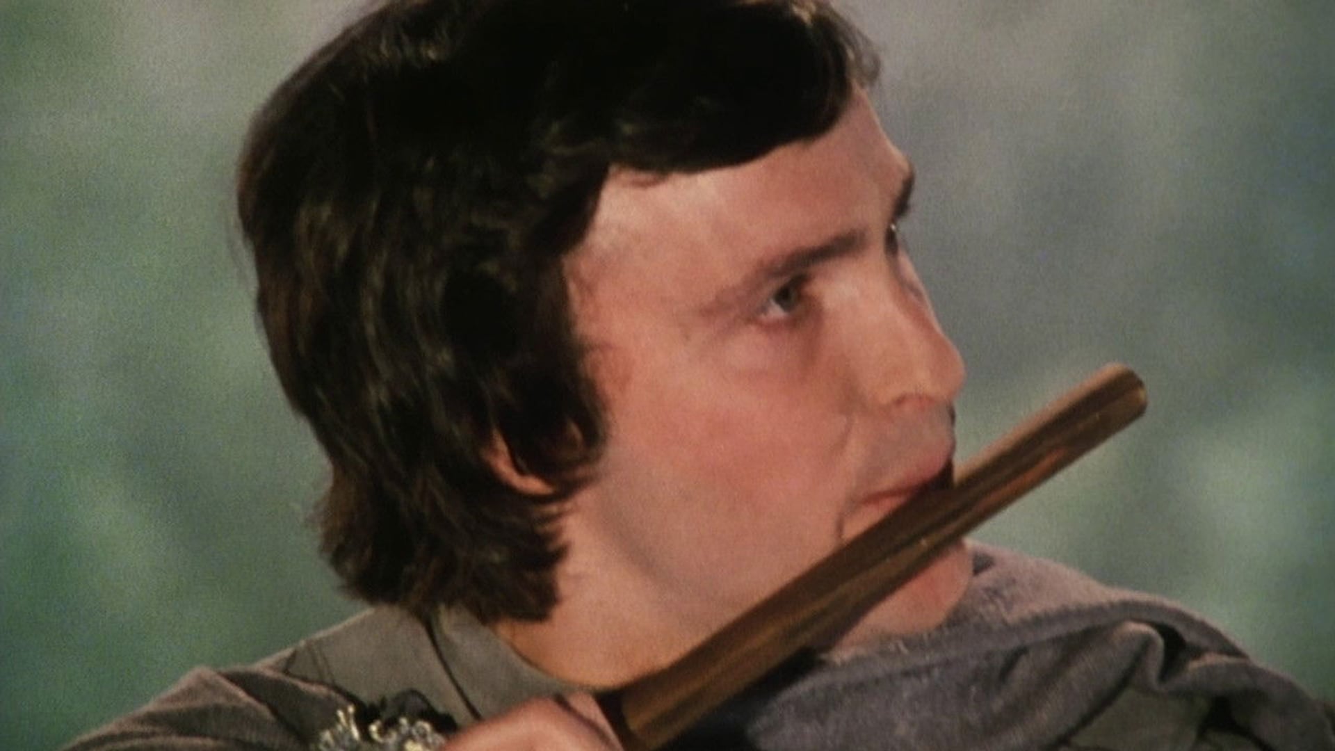 Foto do filme A Flauta Mágica