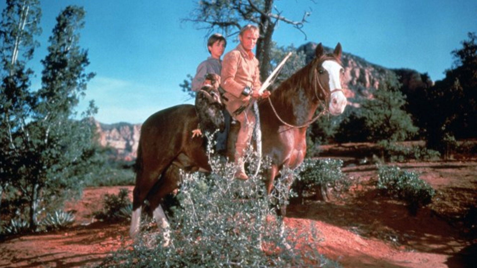 Foto do filme A Última Carroça