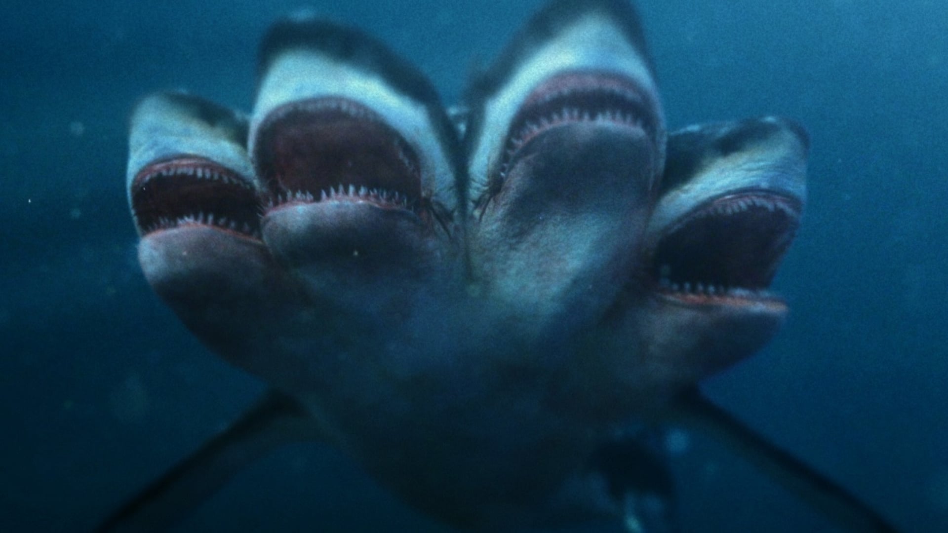 Foto do filme O Ataque do Tubarão de 5 Cabeças