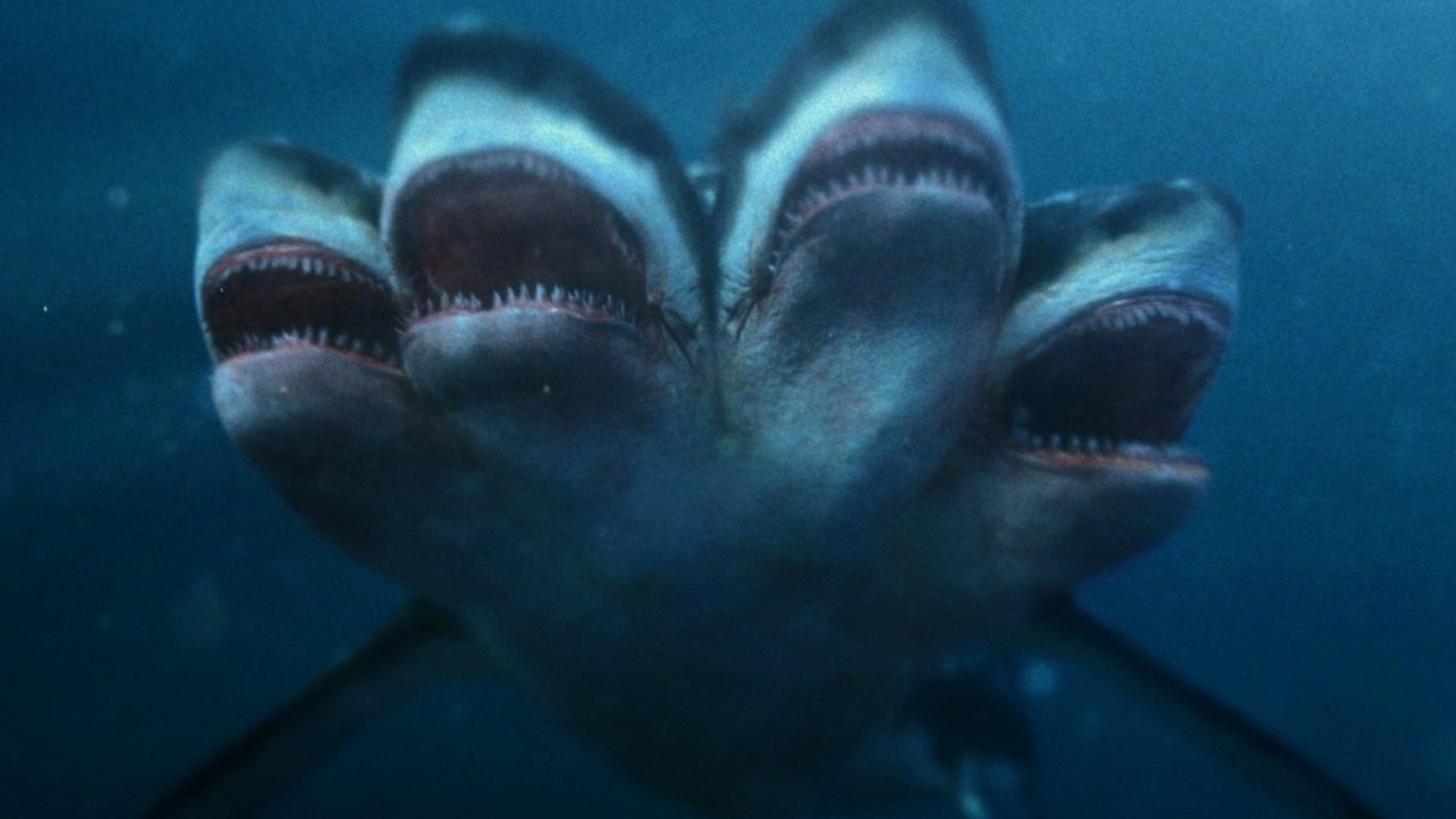 Foto do filme O Ataque do Tubarão de 5 Cabeças