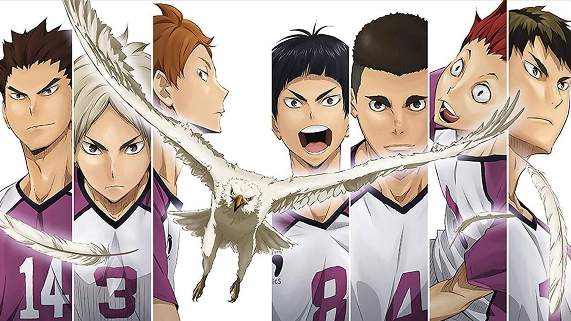 Foto do filme HAIKYU!! A Batalha de Conceitos