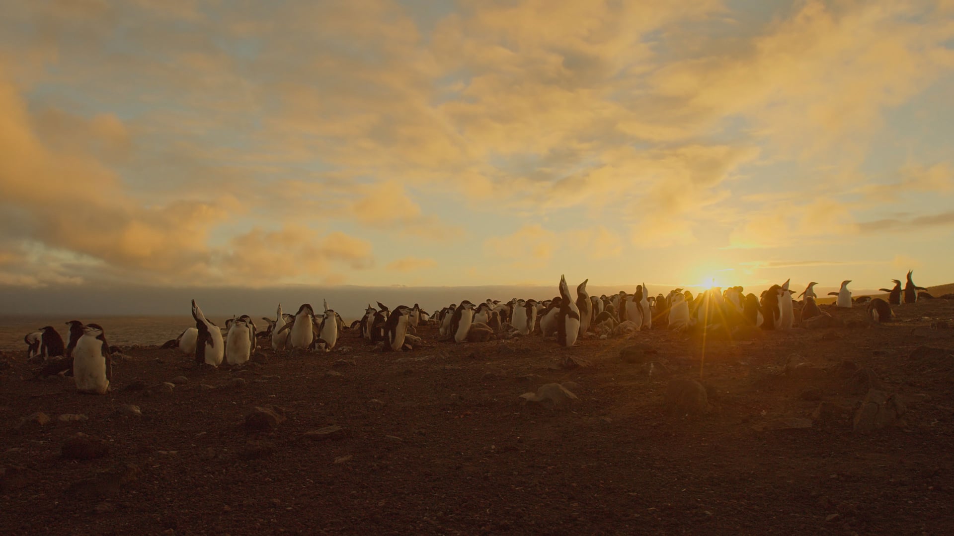 Foto do filme Terra: Um Dia Incrível