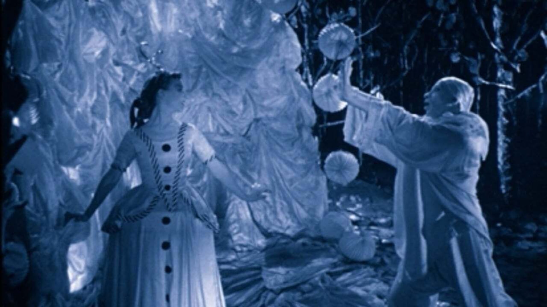 Foto do filme Rabbit's Moon