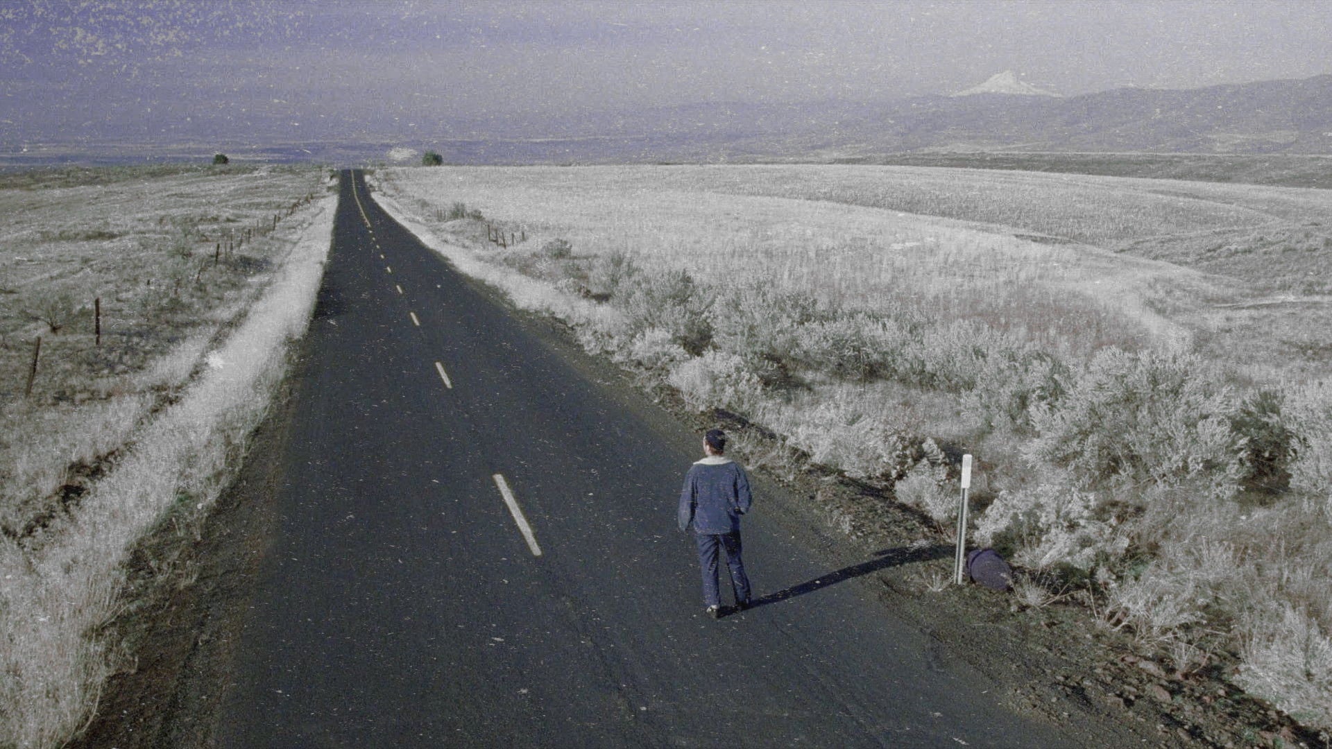 Foto do filme Garotos de Programa